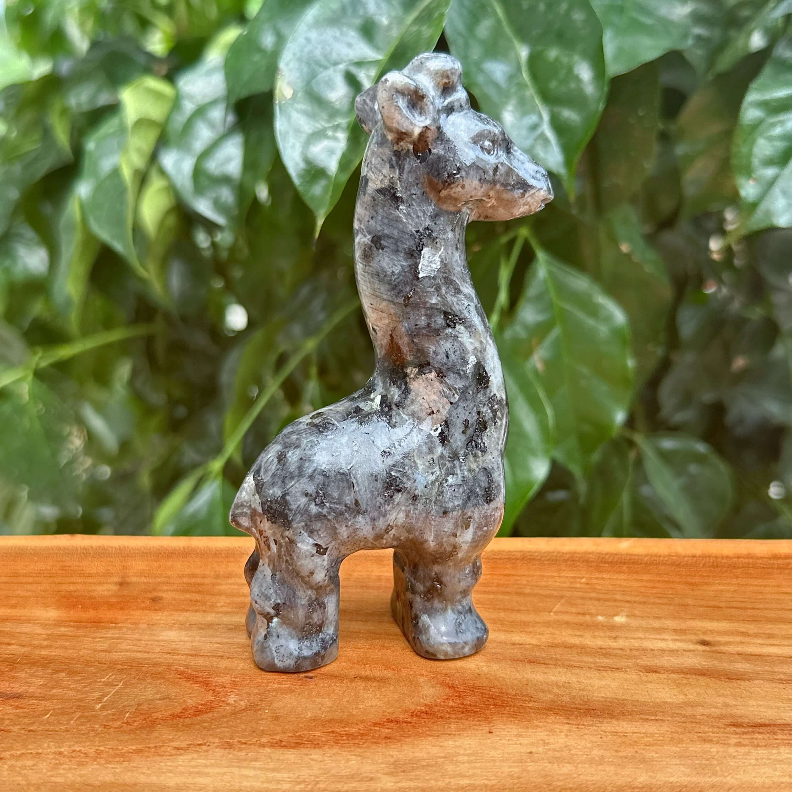 Larvikite Giraffe Carving