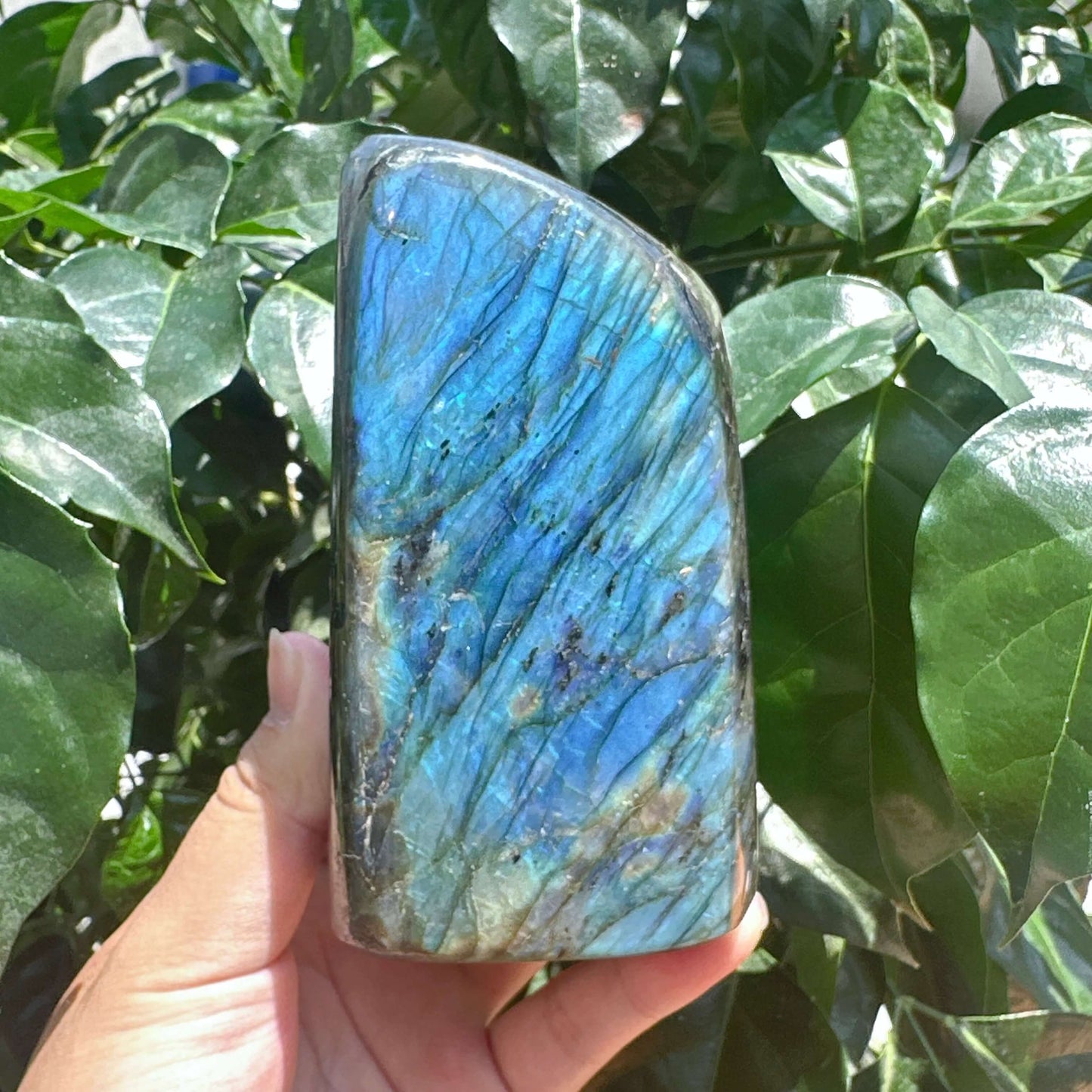 Labradorite Freefrom Ornament
