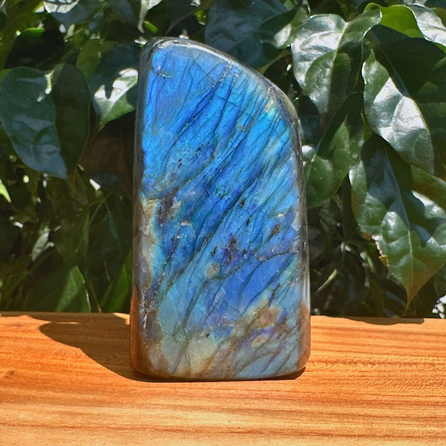 Labradorite Freefrom Ornament