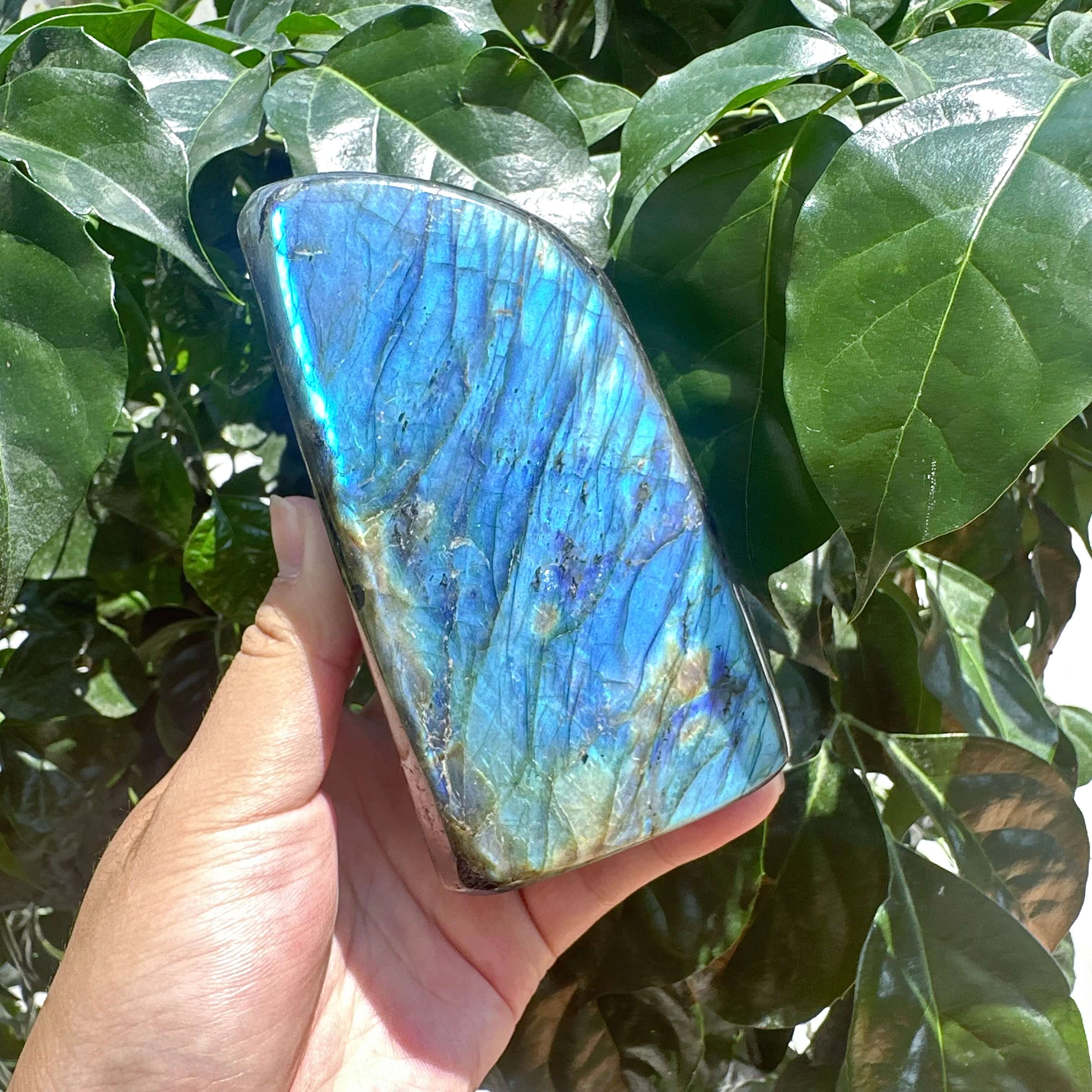 Labradorite Freefrom Ornament