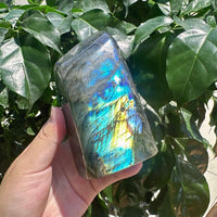 Labradorite Freefrom Ornament
