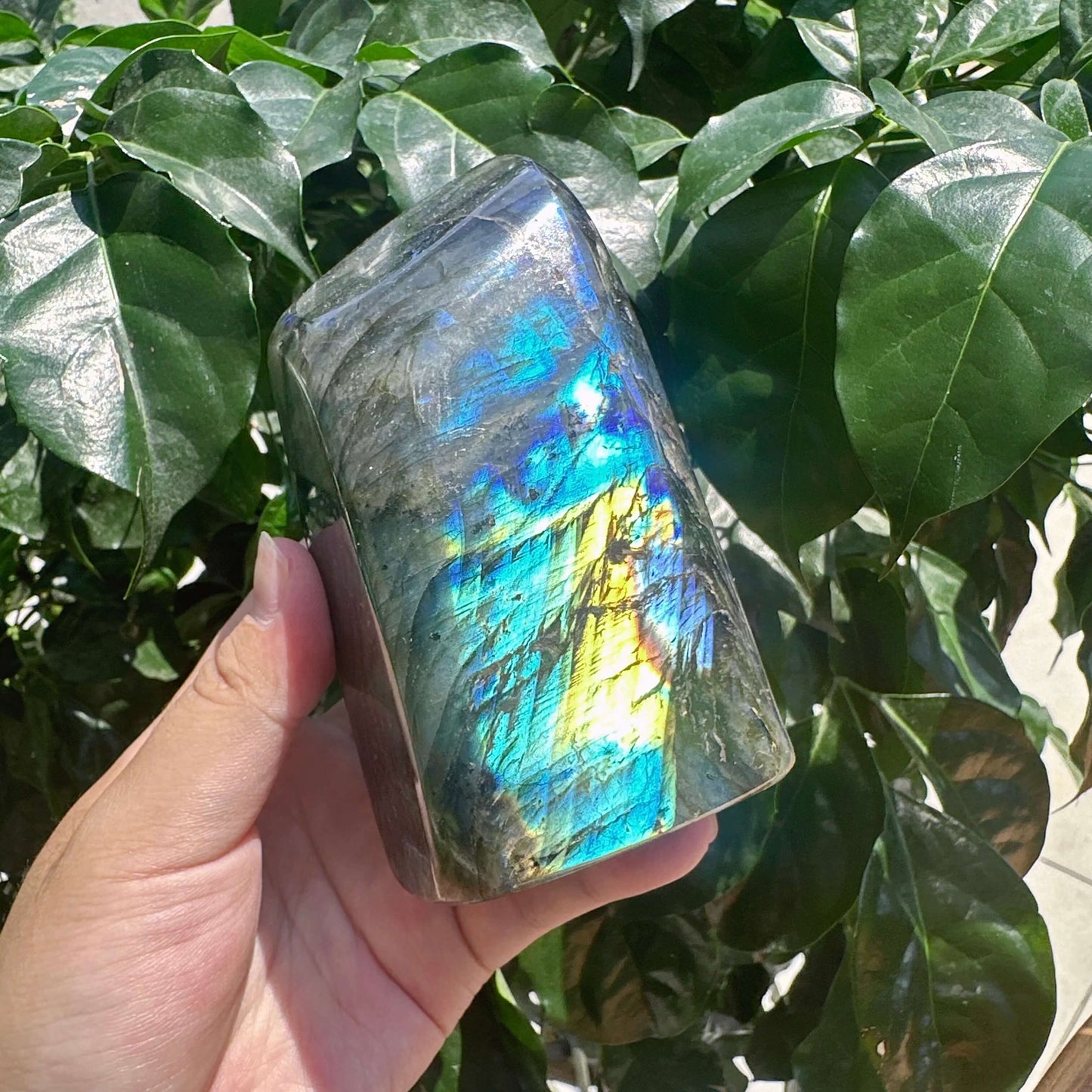 Labradorite Freefrom Ornament
