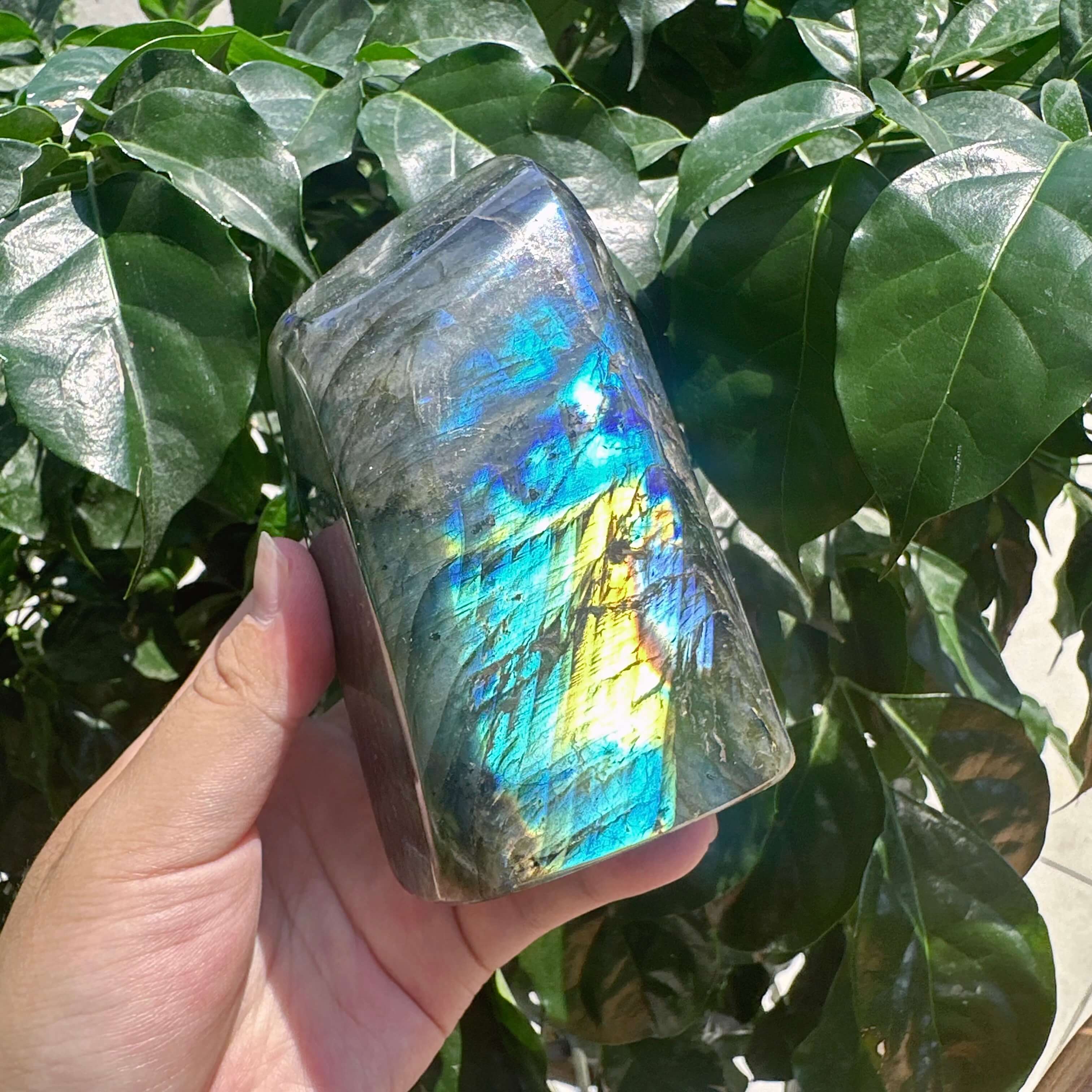 Labradorite Freefrom Ornament