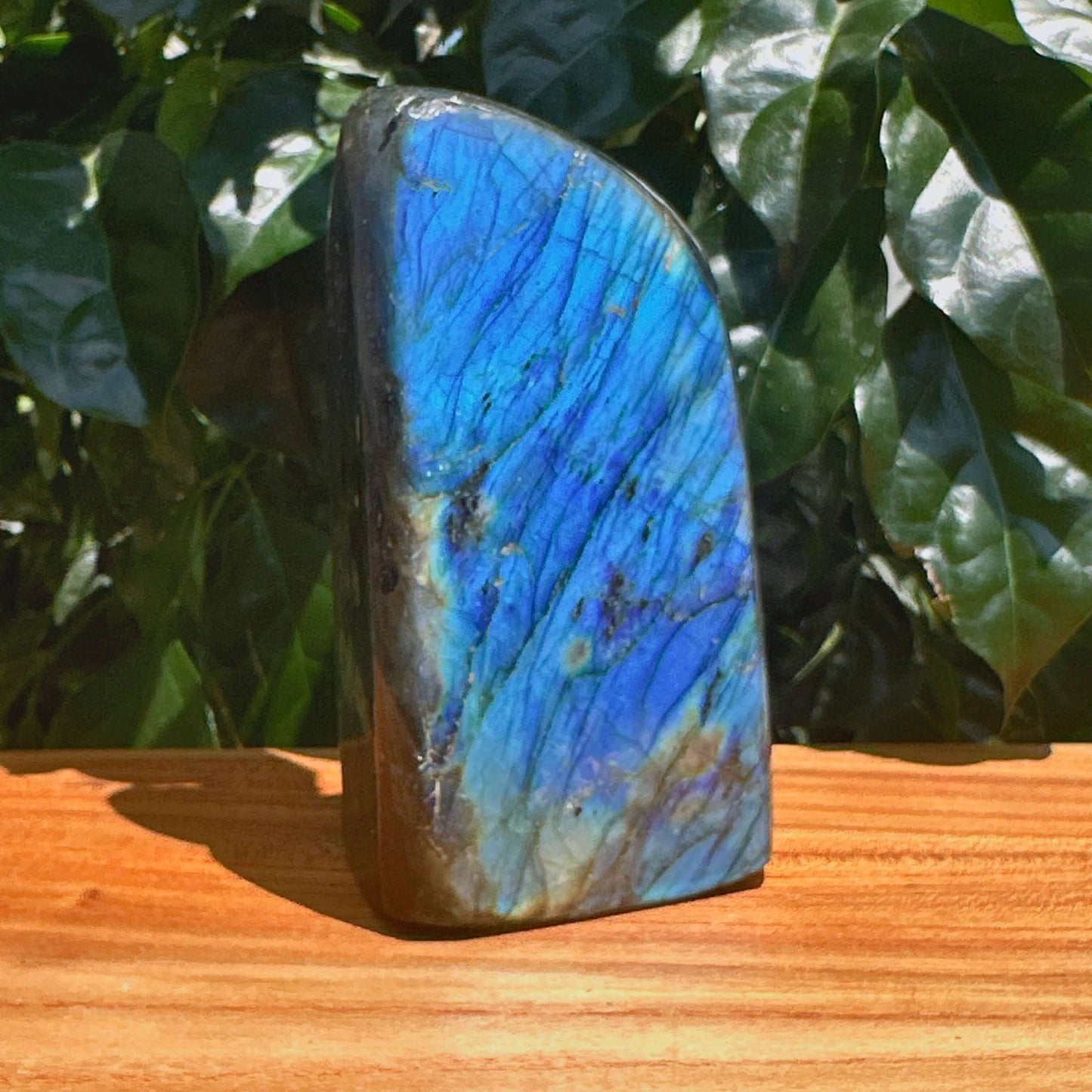 Labradorite Freefrom Ornament