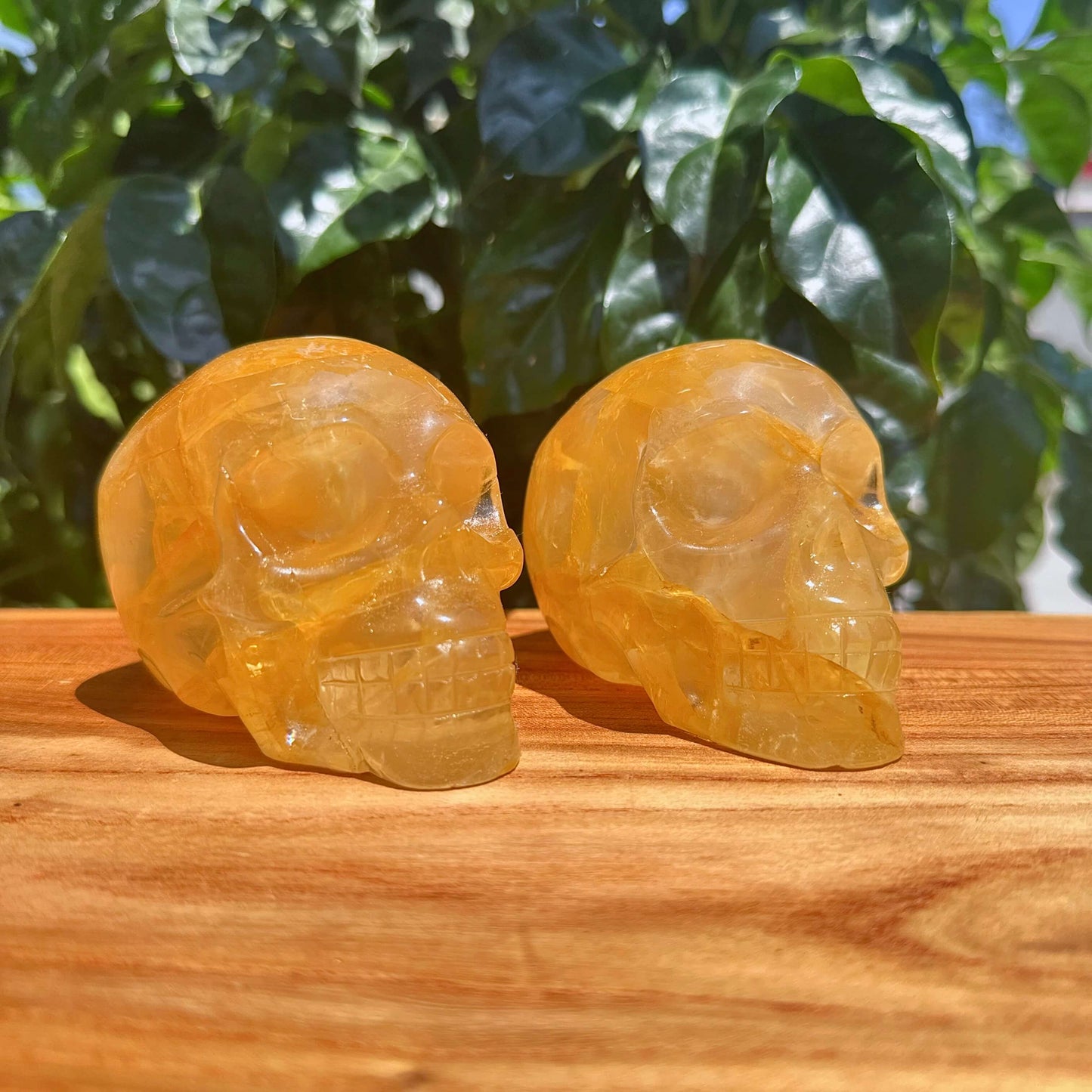 Golden Healer Skull Carving