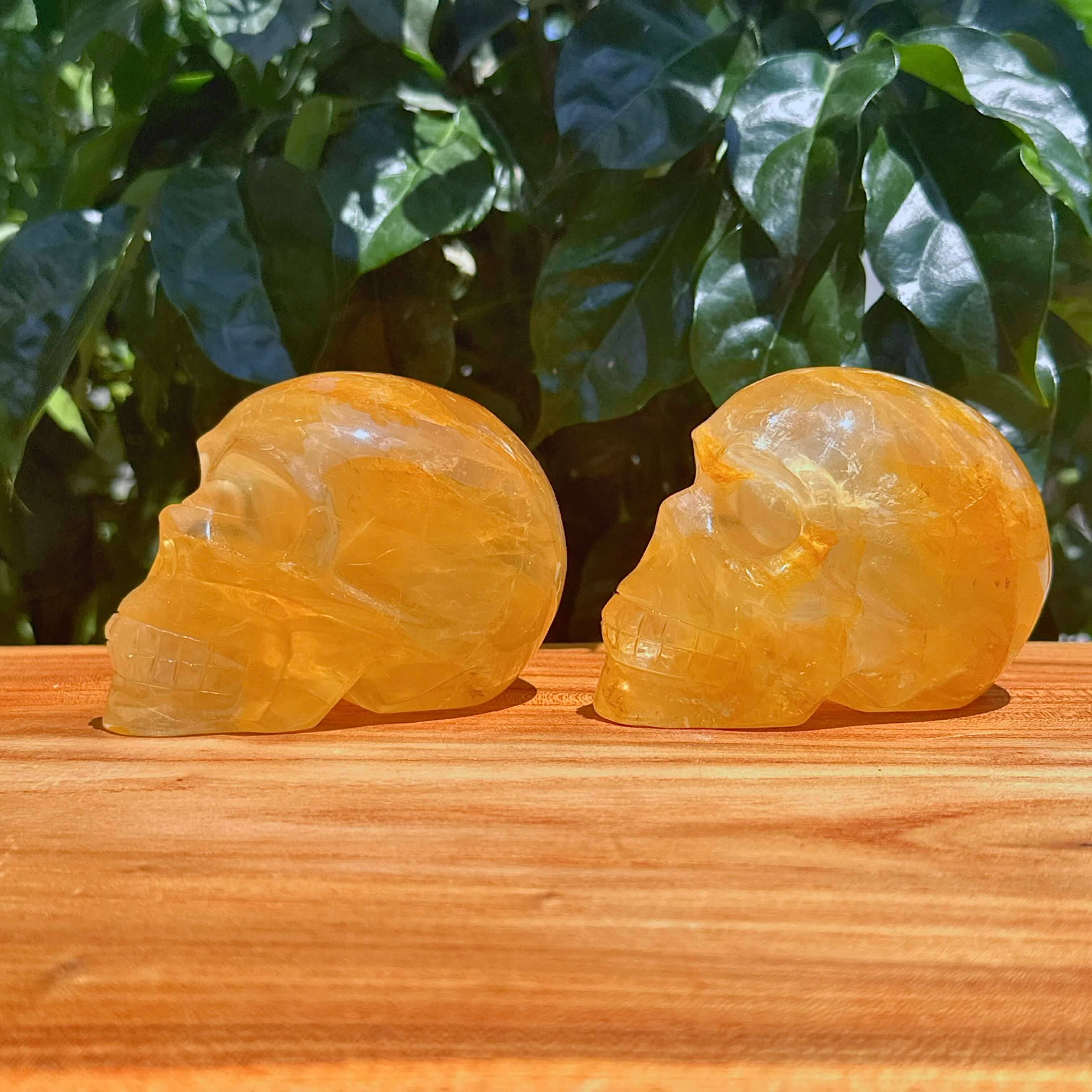 Golden Healer Skull Carving