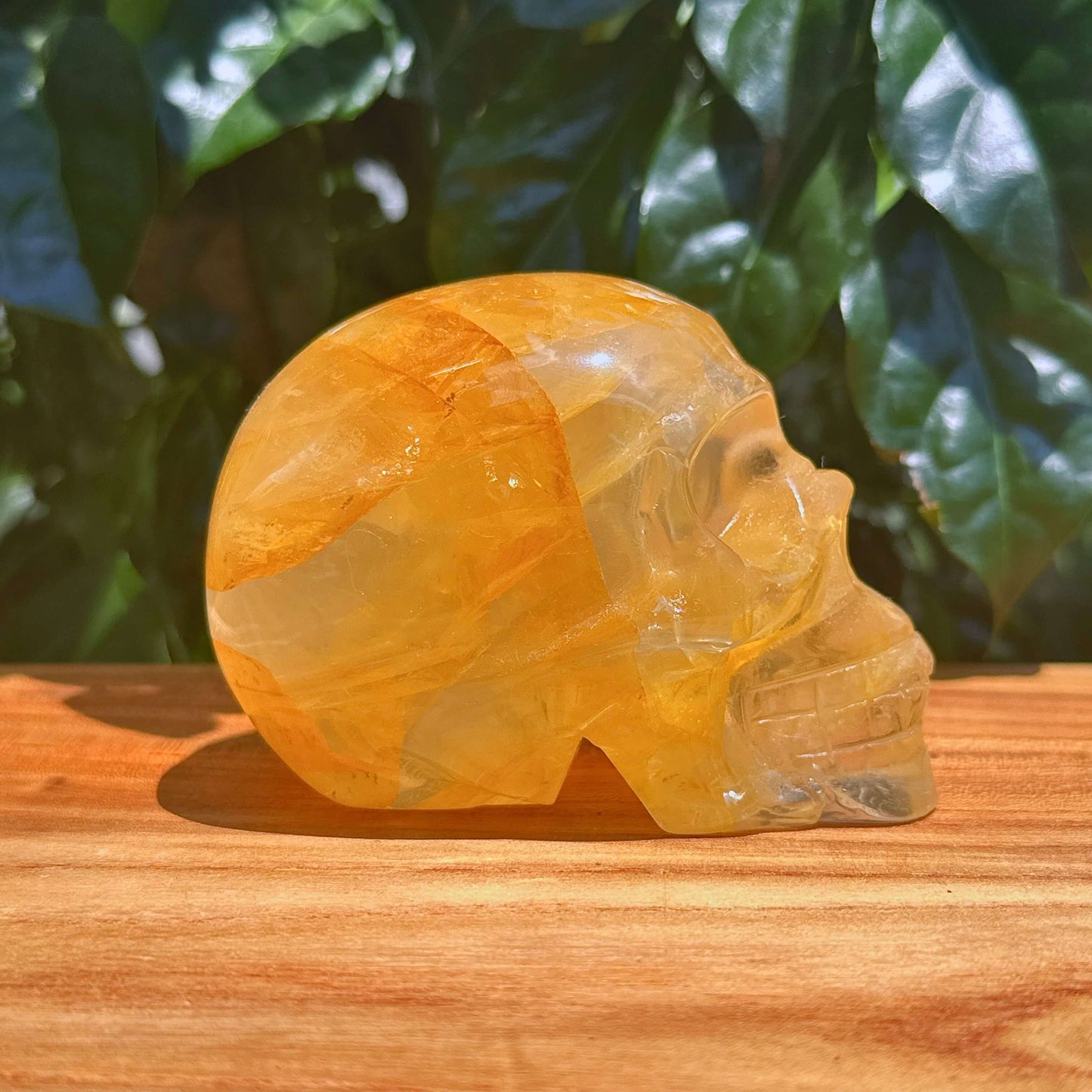 Golden Healer Skull Carving