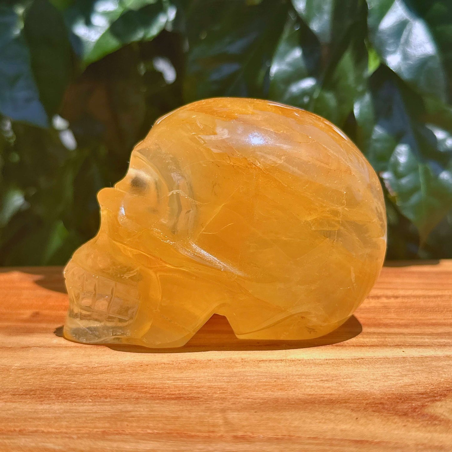 Golden Healer Skull Carving
