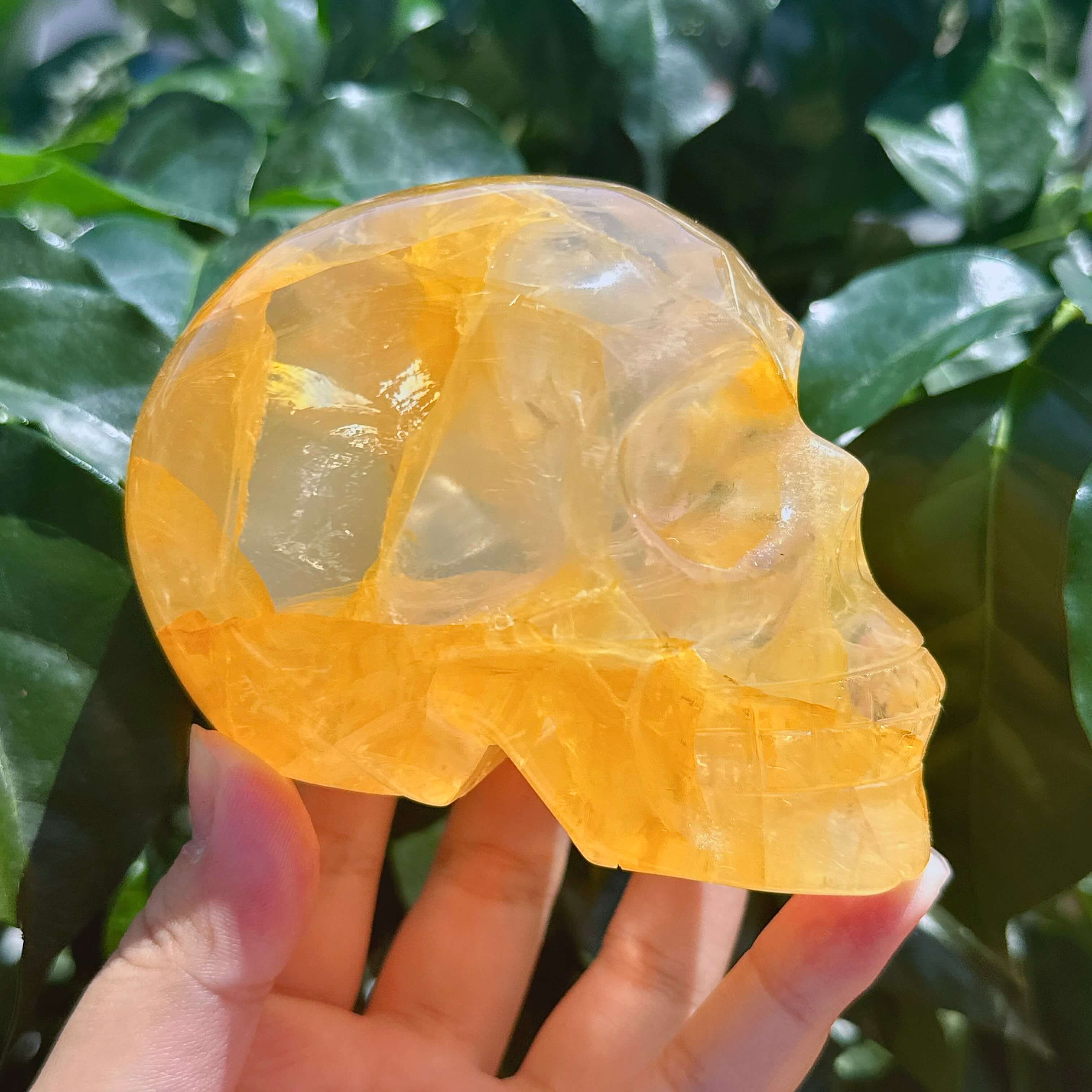 Golden Healer Skull Carving