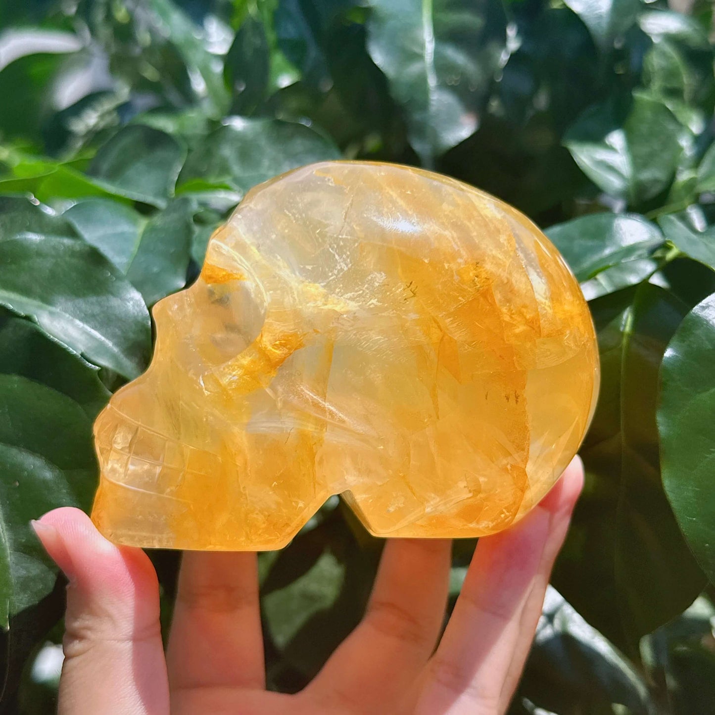 Golden Healer Skull Carving