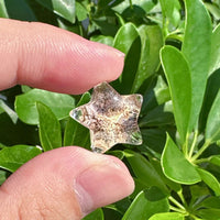 Garden Quartz Five Star Carving