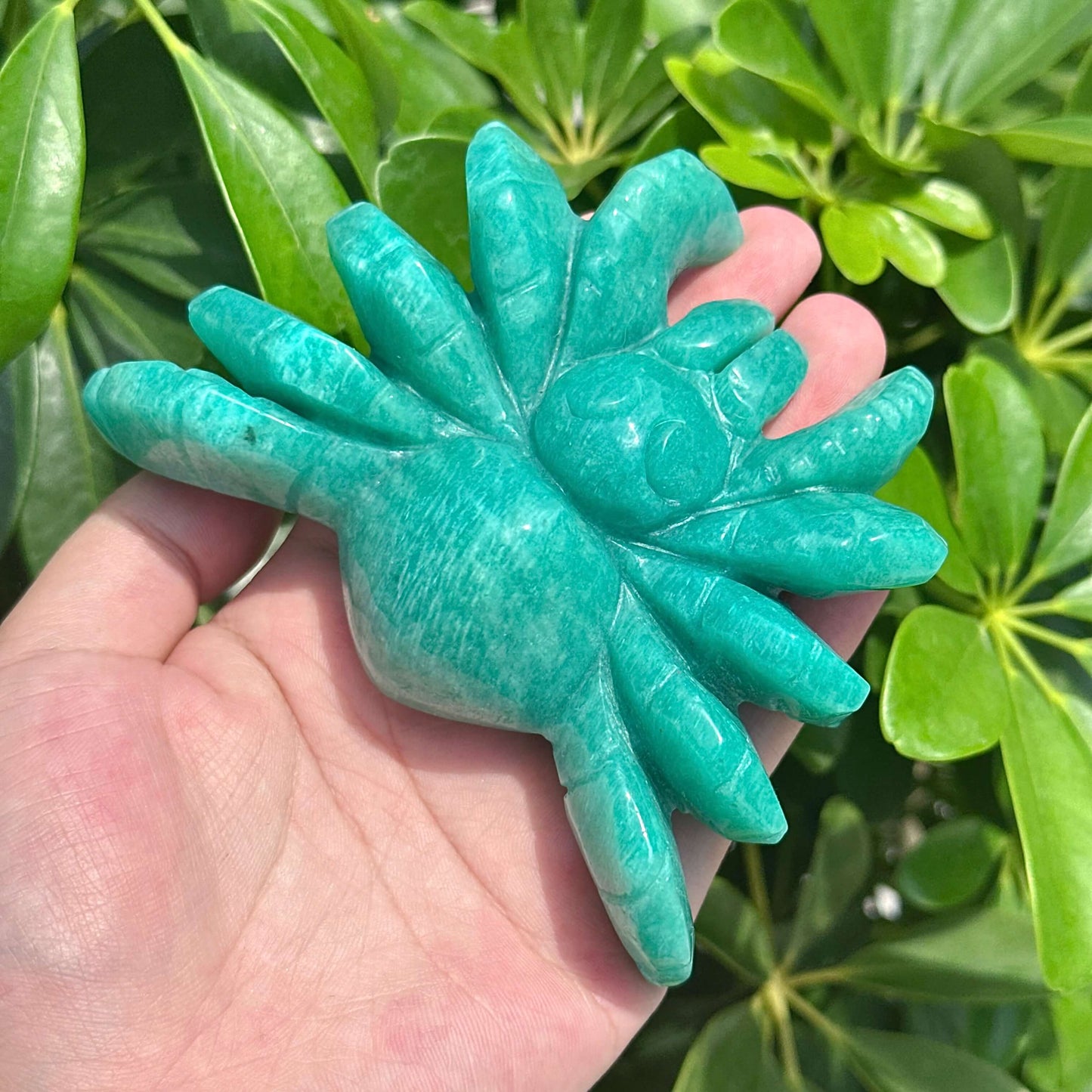 Amazonite Spider Carving