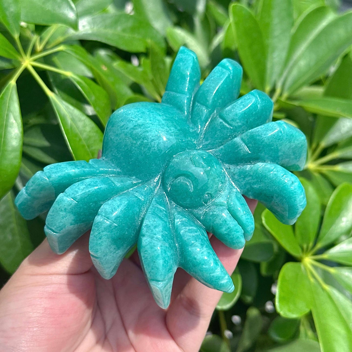 Amazonite Spider Carving