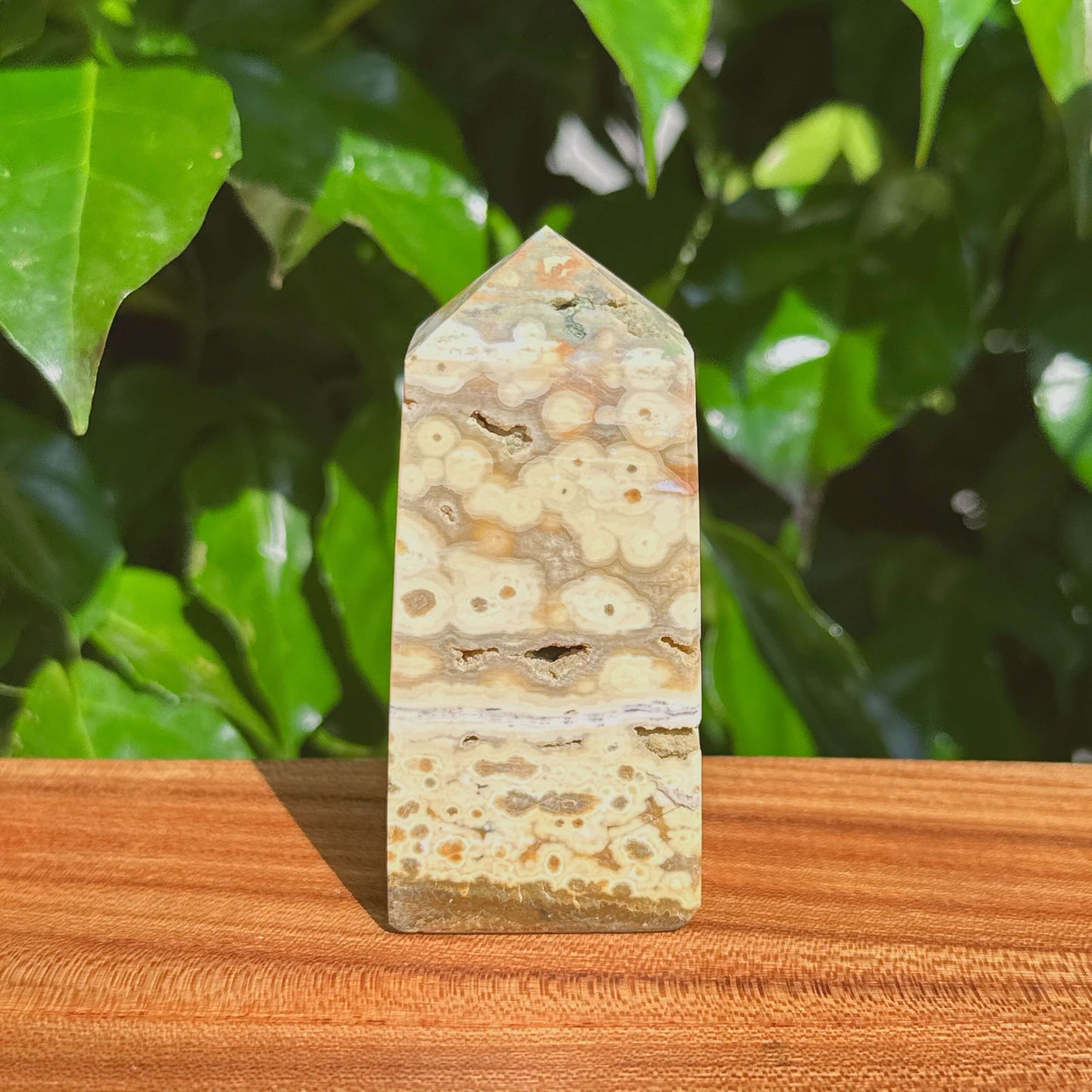 Rainforest Ocean Jasper Tower