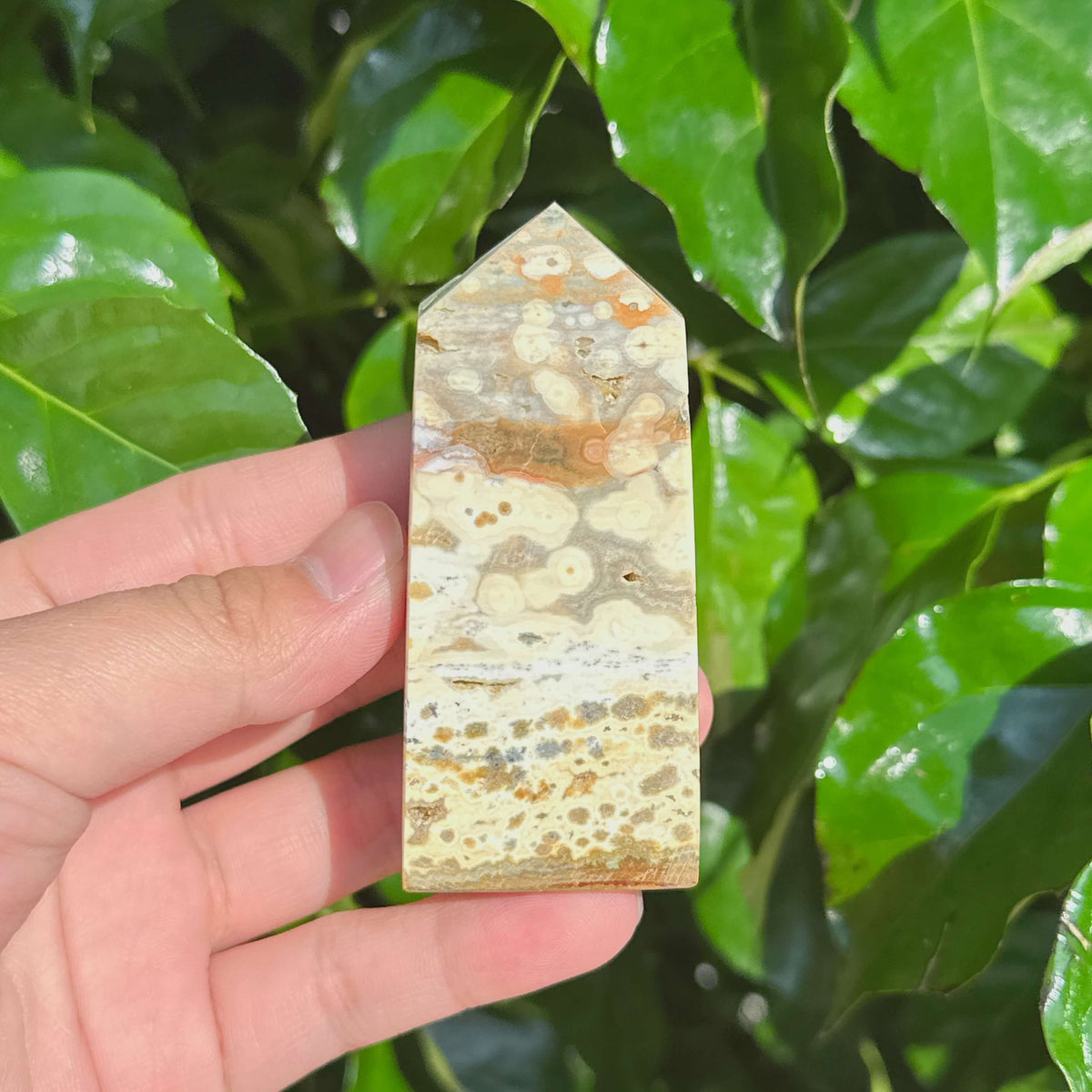 Rainforest Ocean Jasper Tower