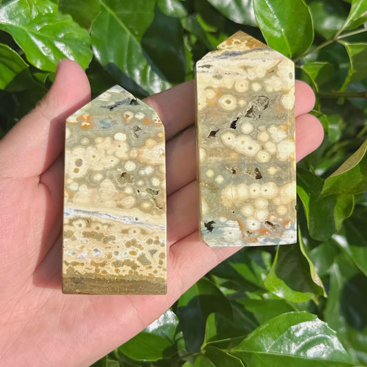 Rainforest Ocean Jasper Tower