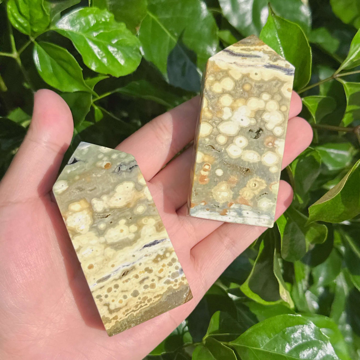 Rainforest Ocean Jasper Tower