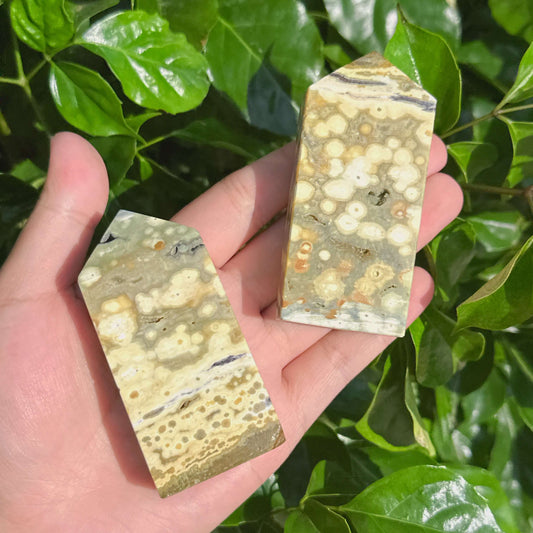 Rainforest Ocean Jasper Tower