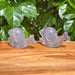 Fluorite Snails Carving