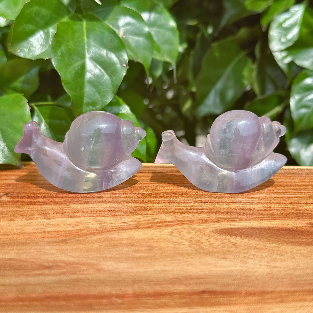 Fluorite Snails Carving