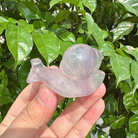 Fluorite Snails Carving