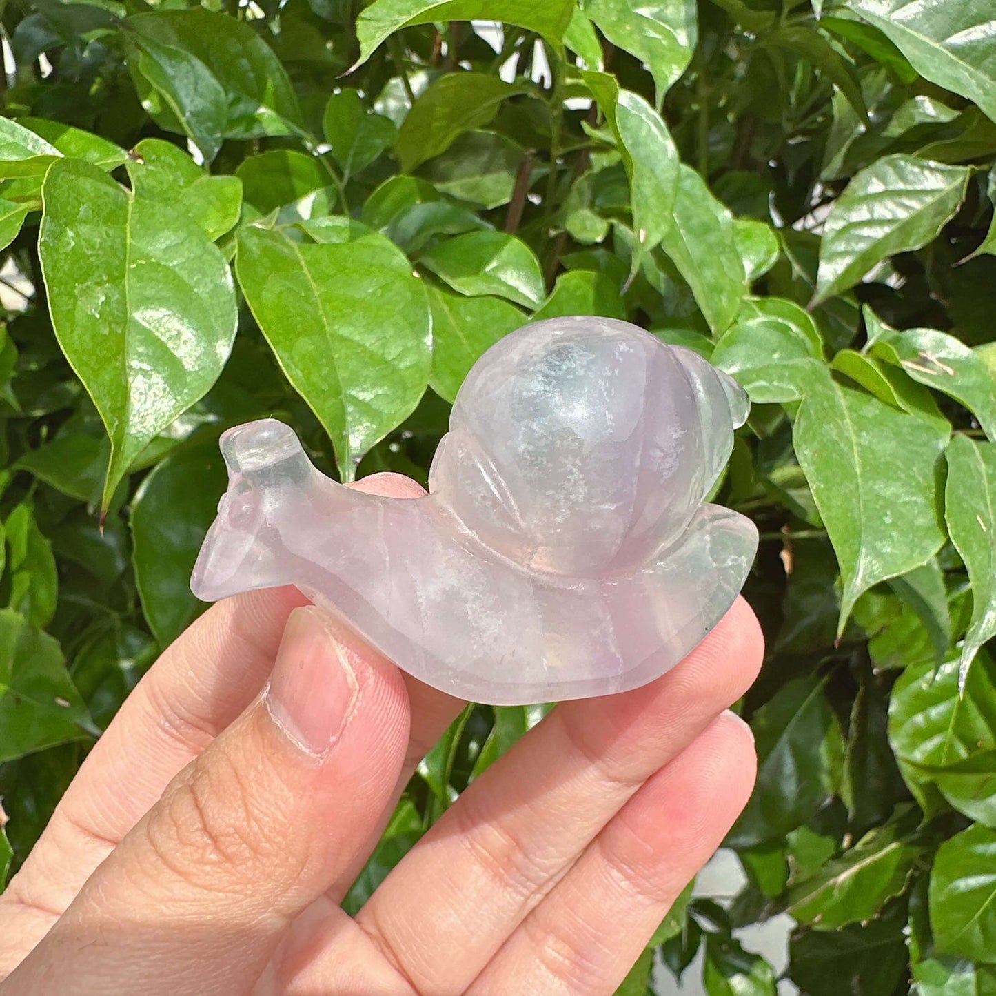 Fluorite Snails Carving