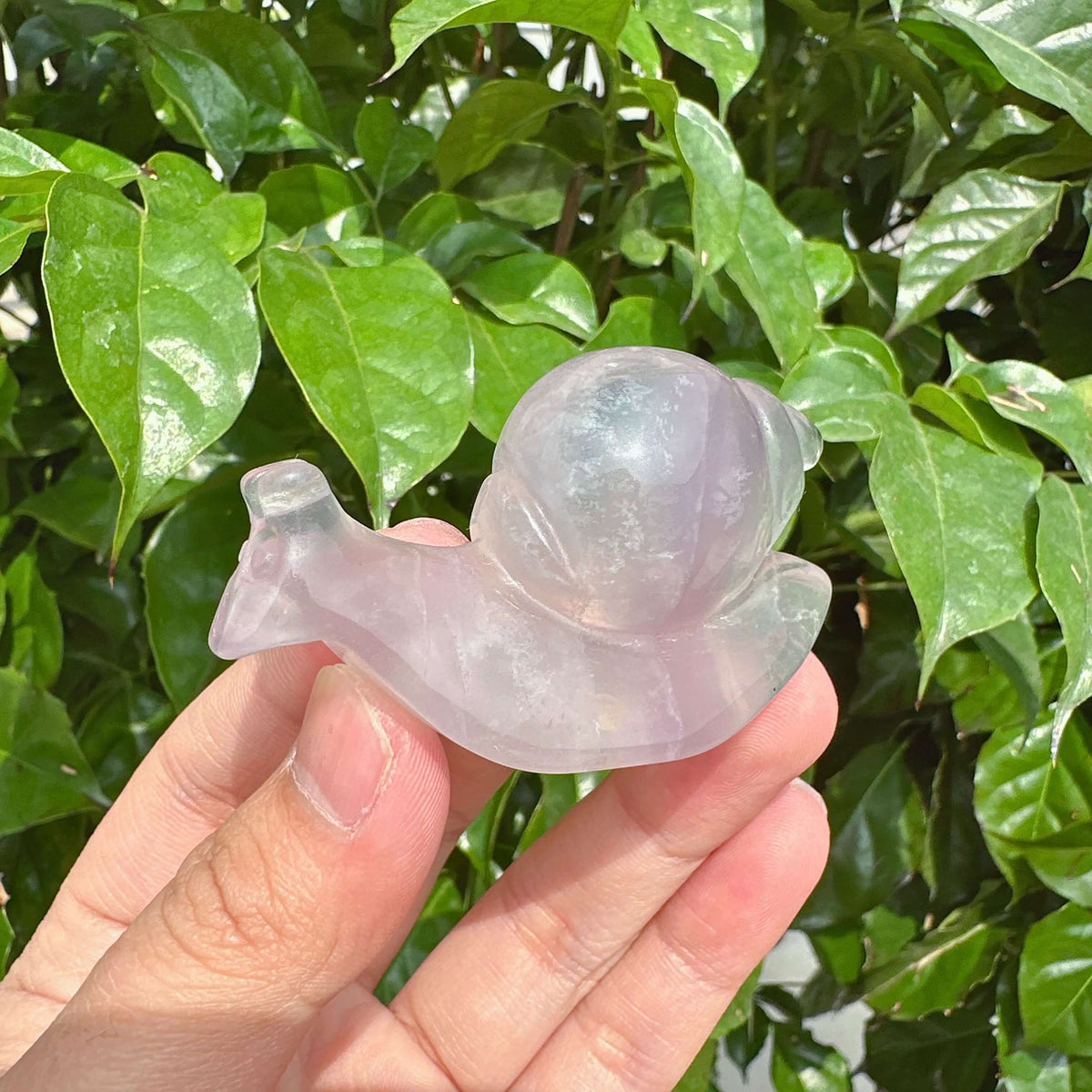 Fluorite Snails Carving
