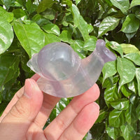 Fluorite Snails Carving
