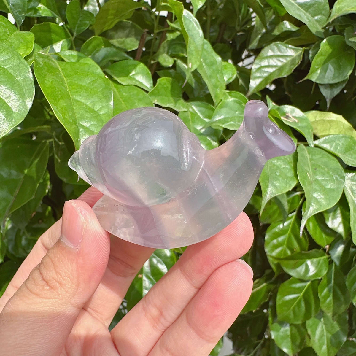 Fluorite Snails Carving