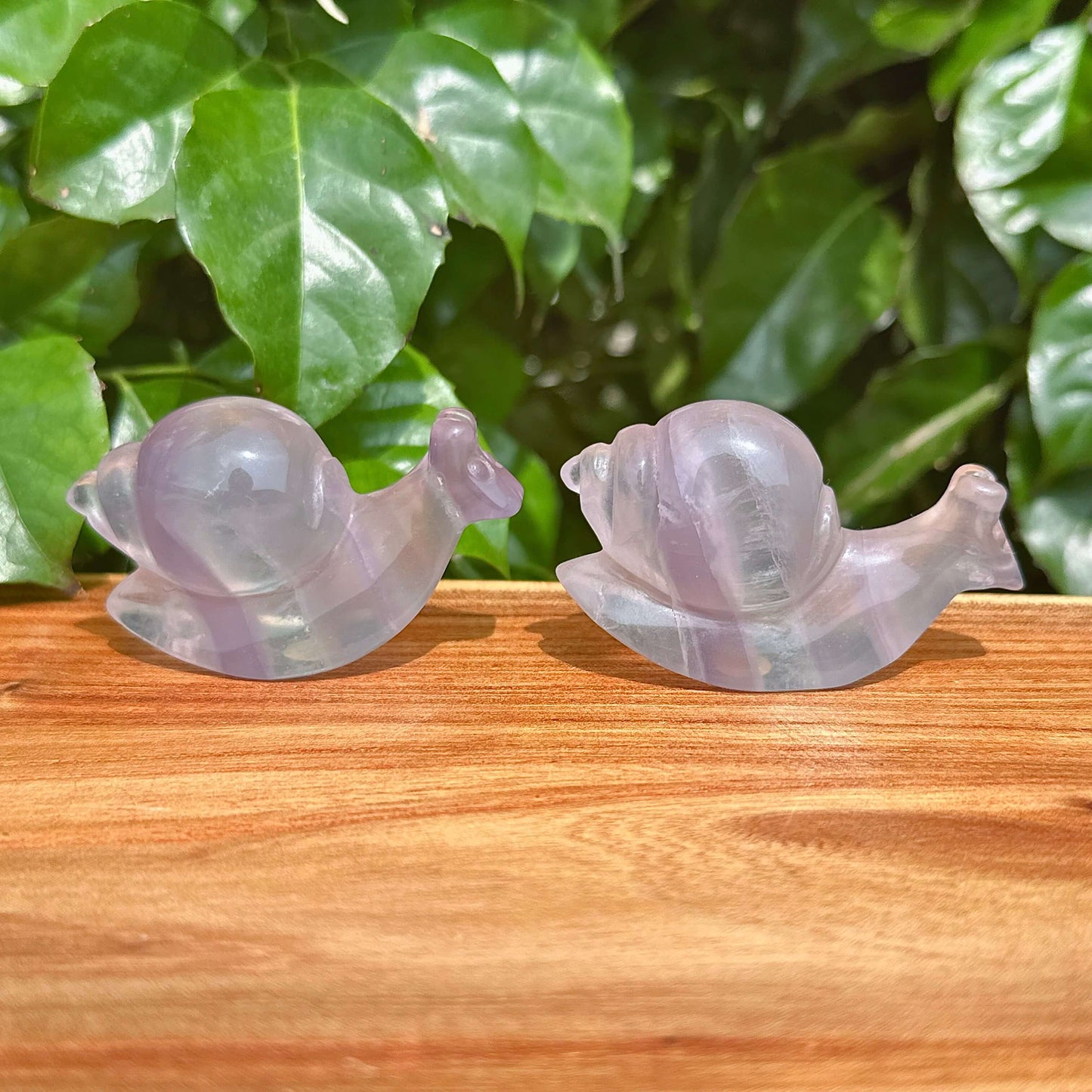 Fluorite Snails Carving