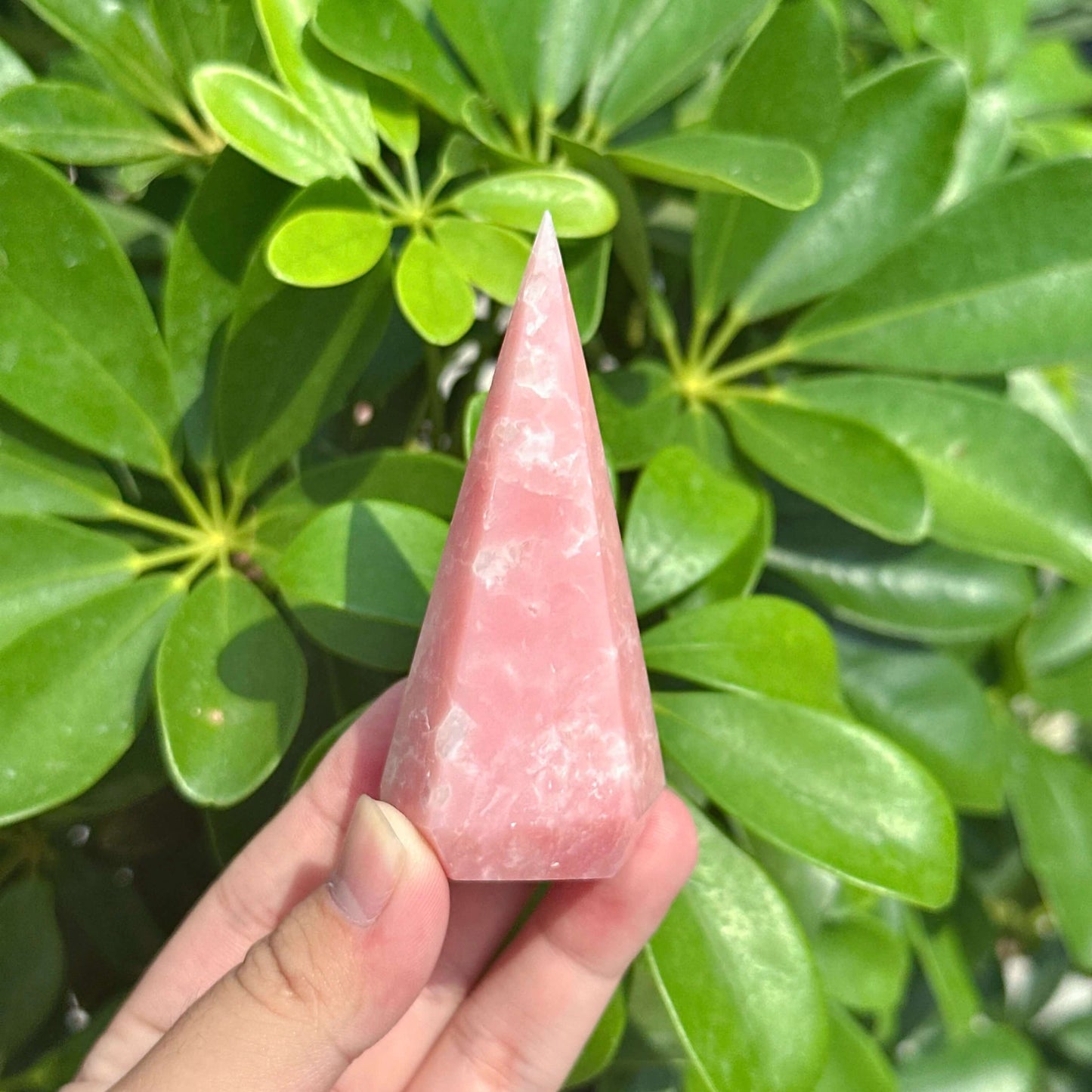 Pink Opal Diamond Carving