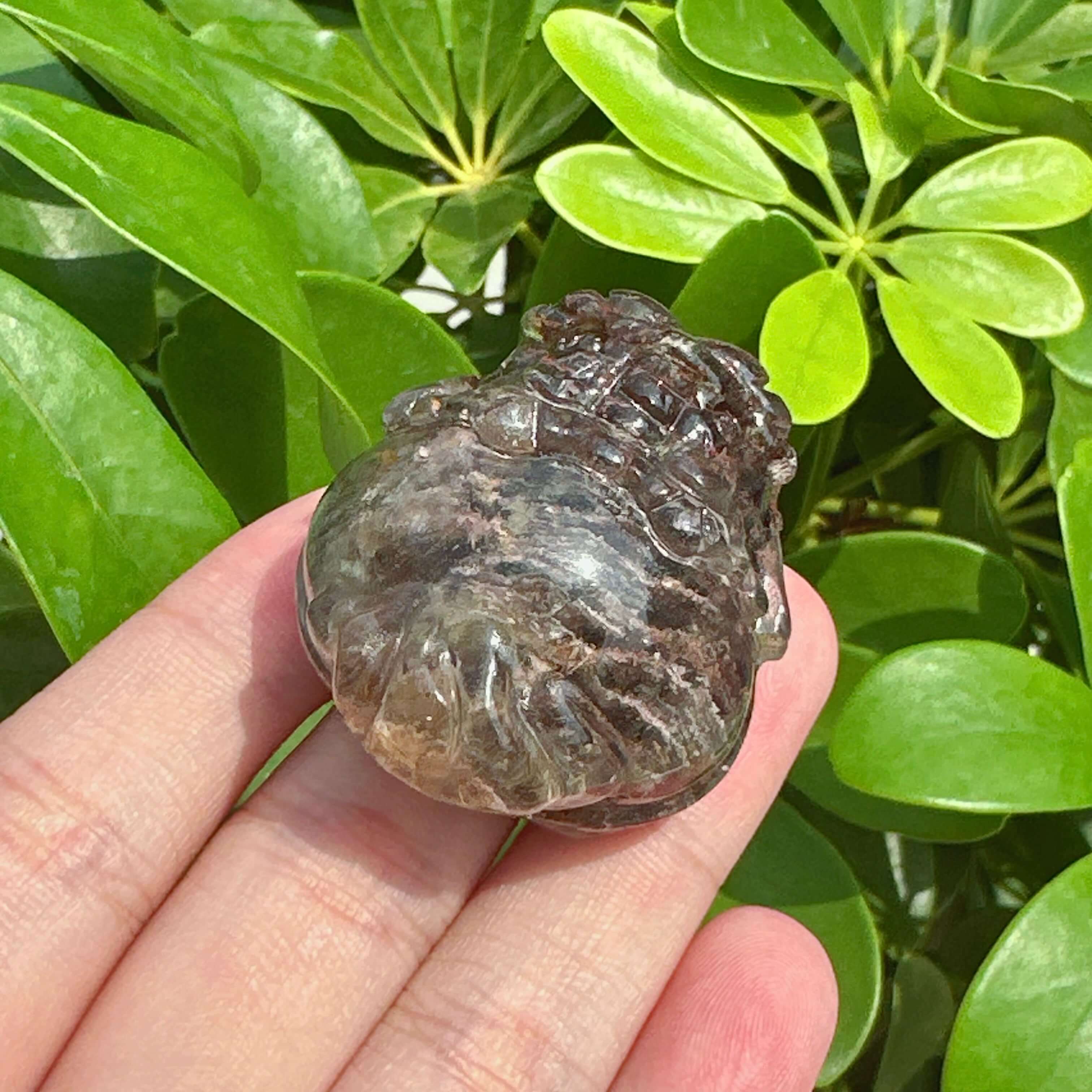 Garden Quartz Dragon-Turtle Carving