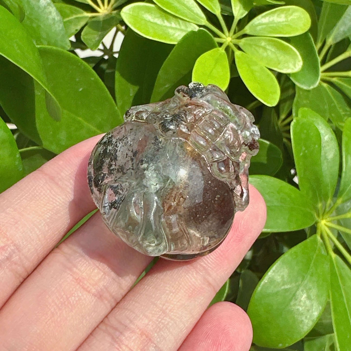 Garden Quartz Dragon-Turtle Carving