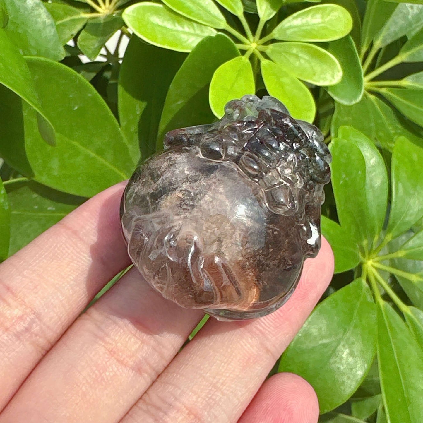 Garden Quartz Dragon-Turtle Carving