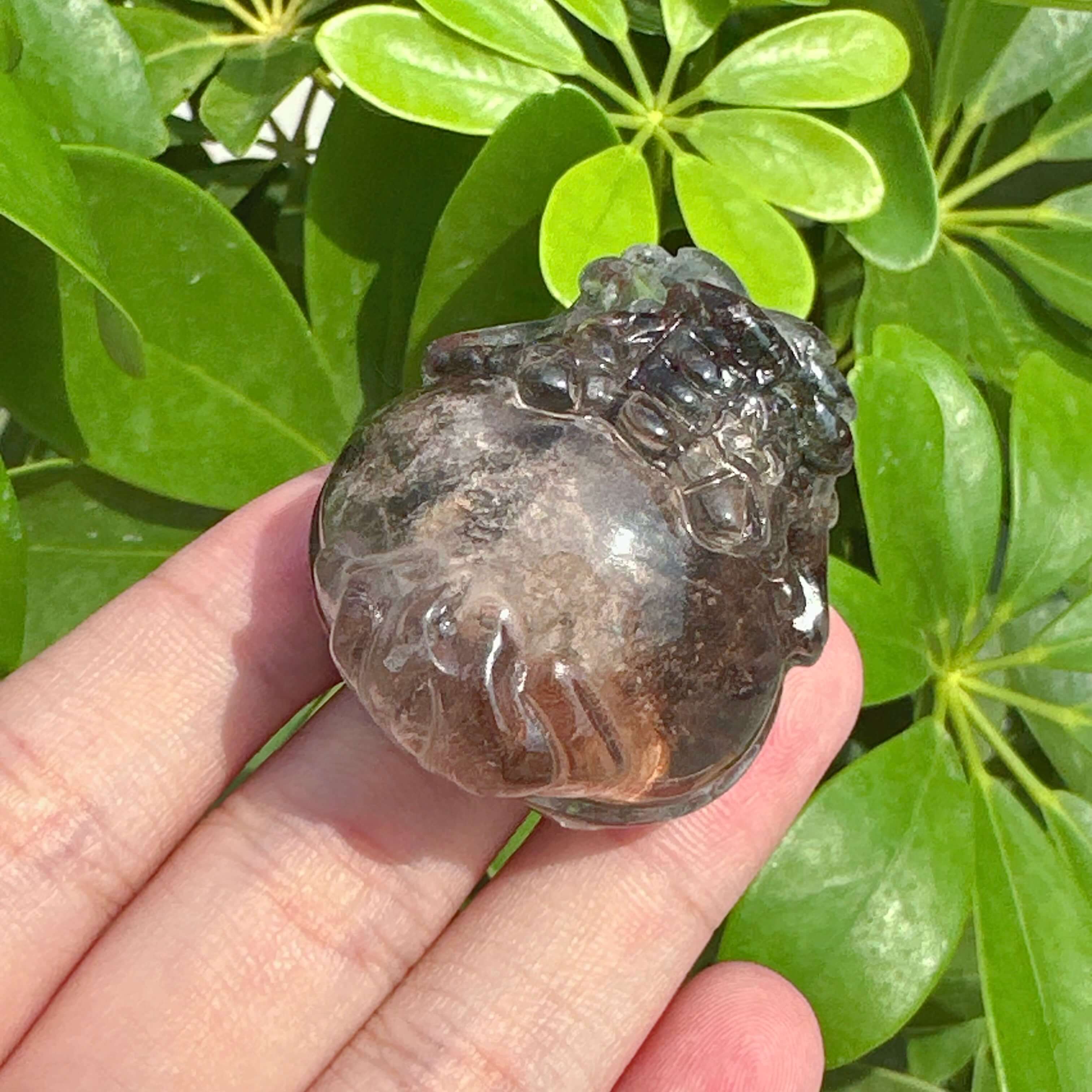Garden Quartz Dragon-Turtle Carving