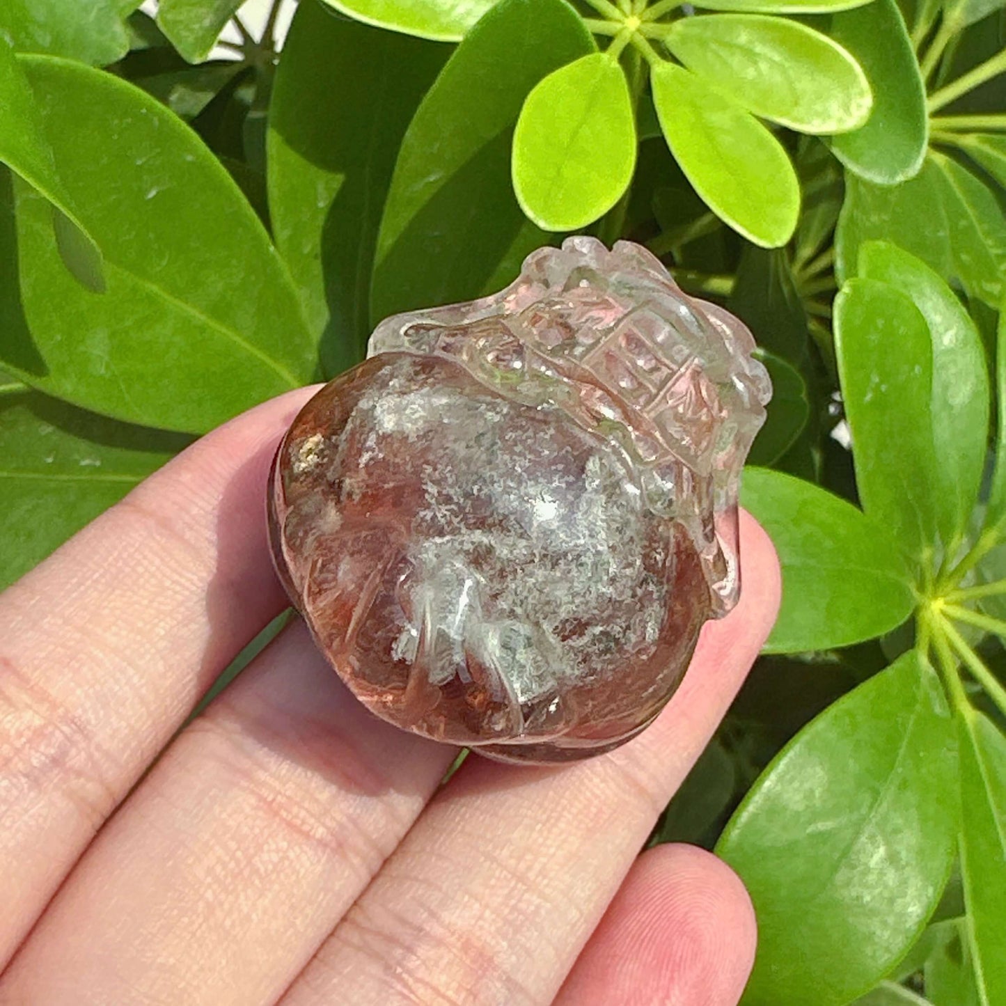 Garden Quartz Dragon-Turtle Carving