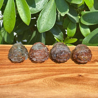 Garden Quartz Dragon-Turtle Carving