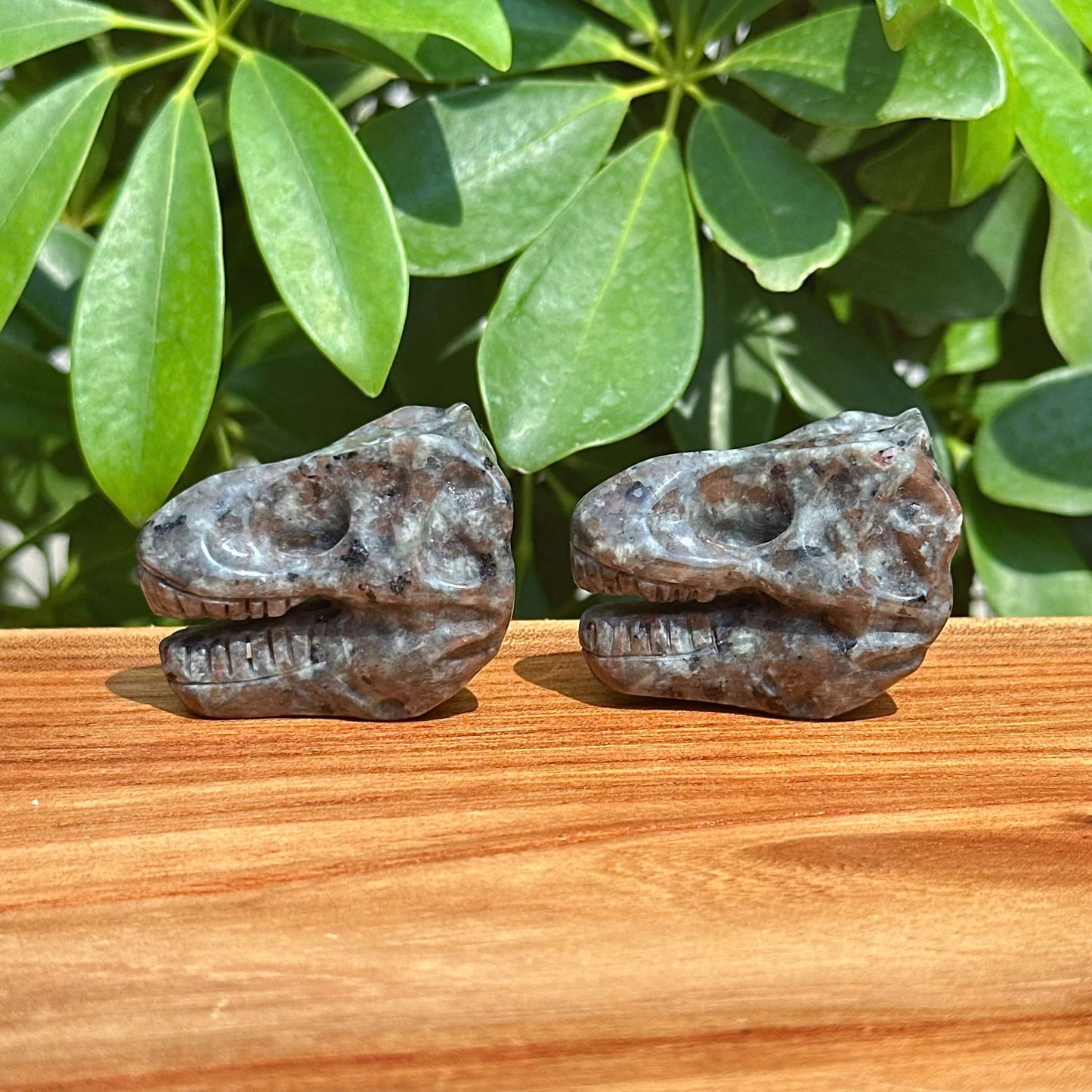 Yooperlite Dinosaur Skull Carving