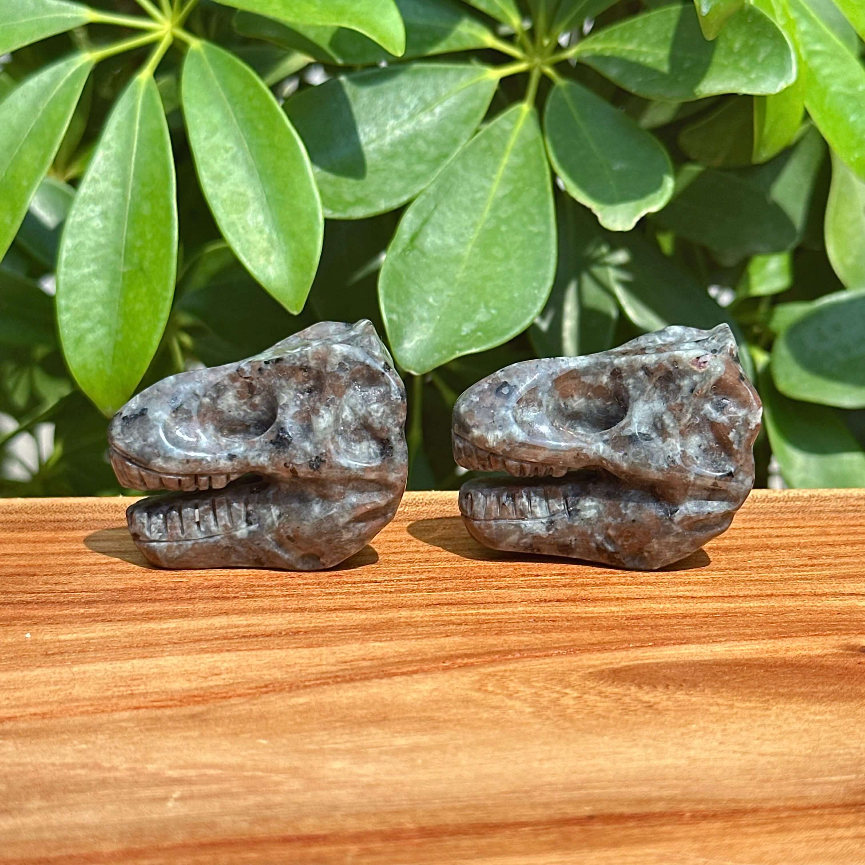 Yooperlite Dinosaur Skull Carving