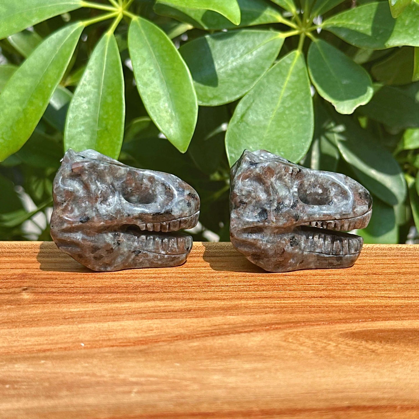 Yooperlite Dinosaur Skull Carving