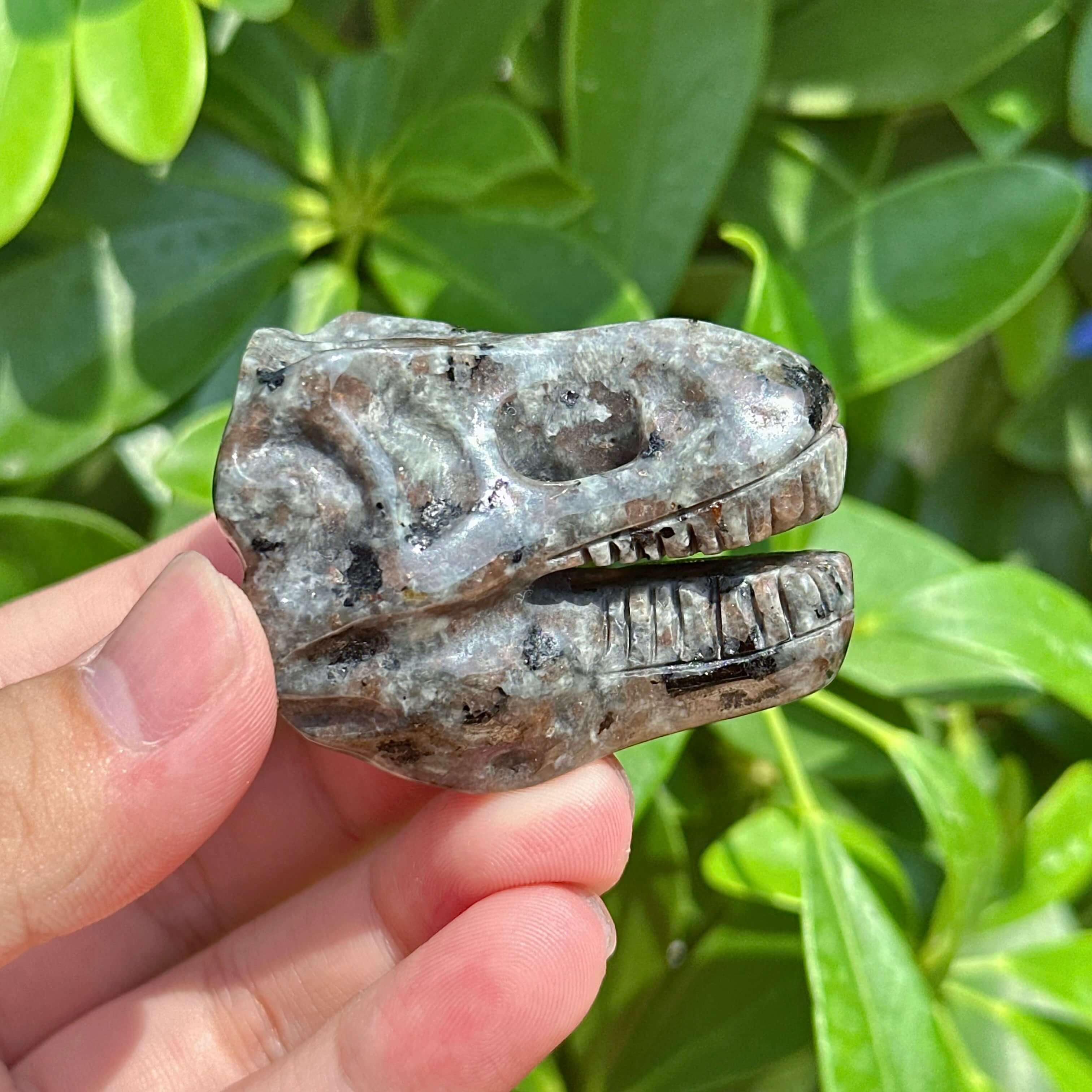 Yooperlite Dinosaur Skull Carving
