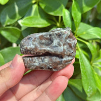 Yooperlite Dinosaur Skull Carving