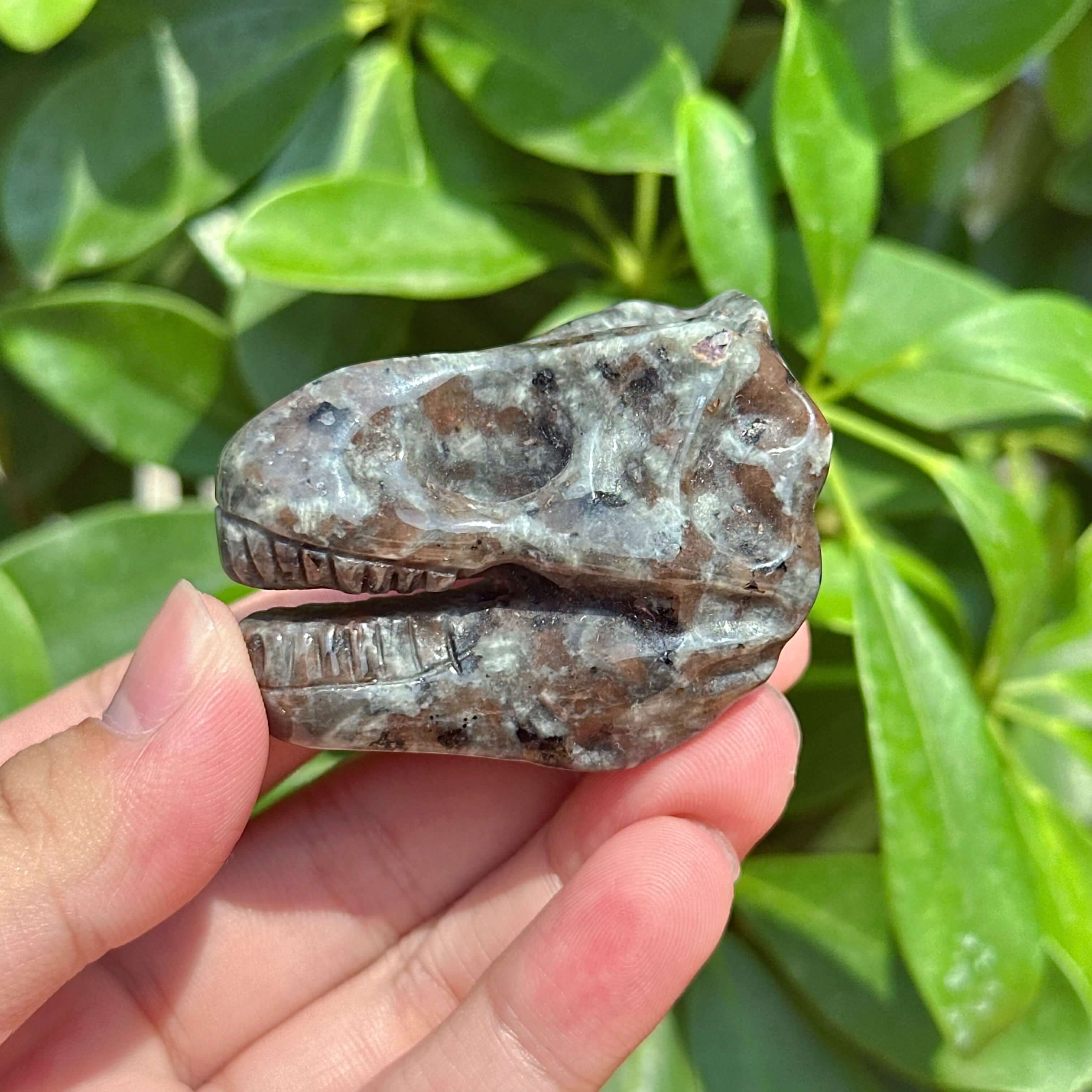 Yooperlite Dinosaur Skull Carving