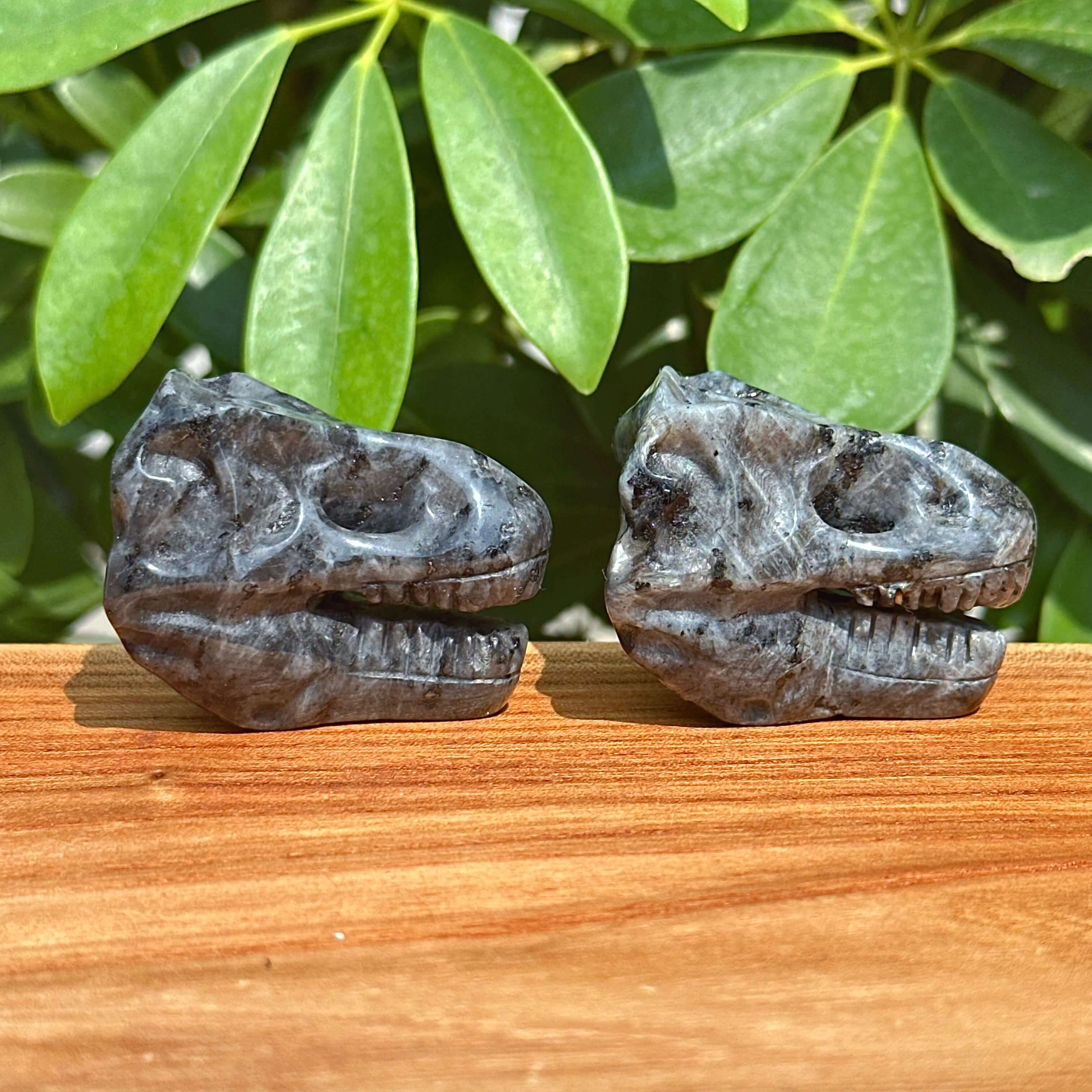 Yooperlite Dinosaur Skull Carving