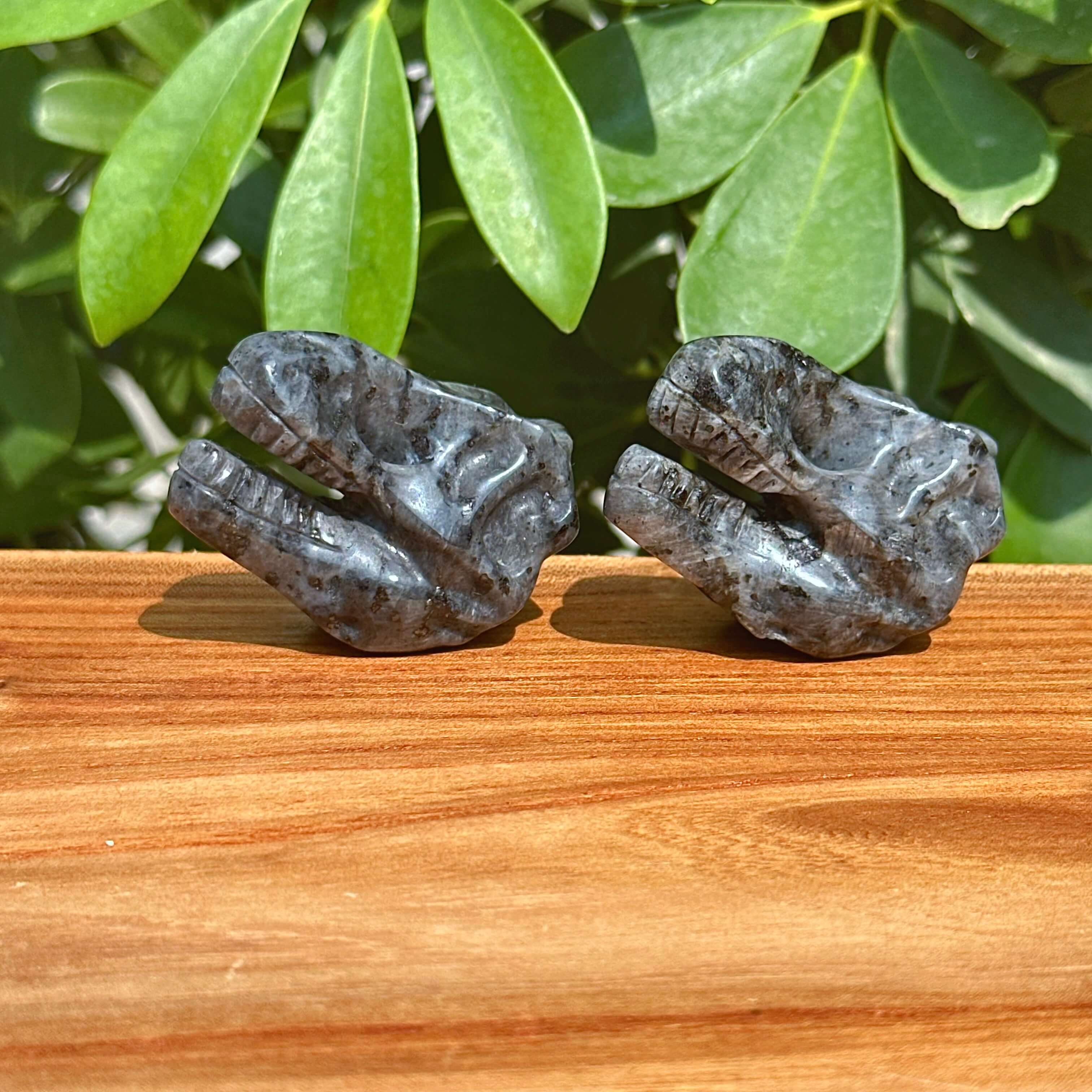 Yooperlite Dinosaur Skull Carving