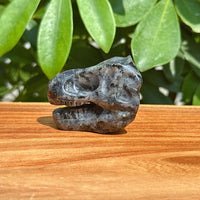 Yooperlite Dinosaur Skull Carving