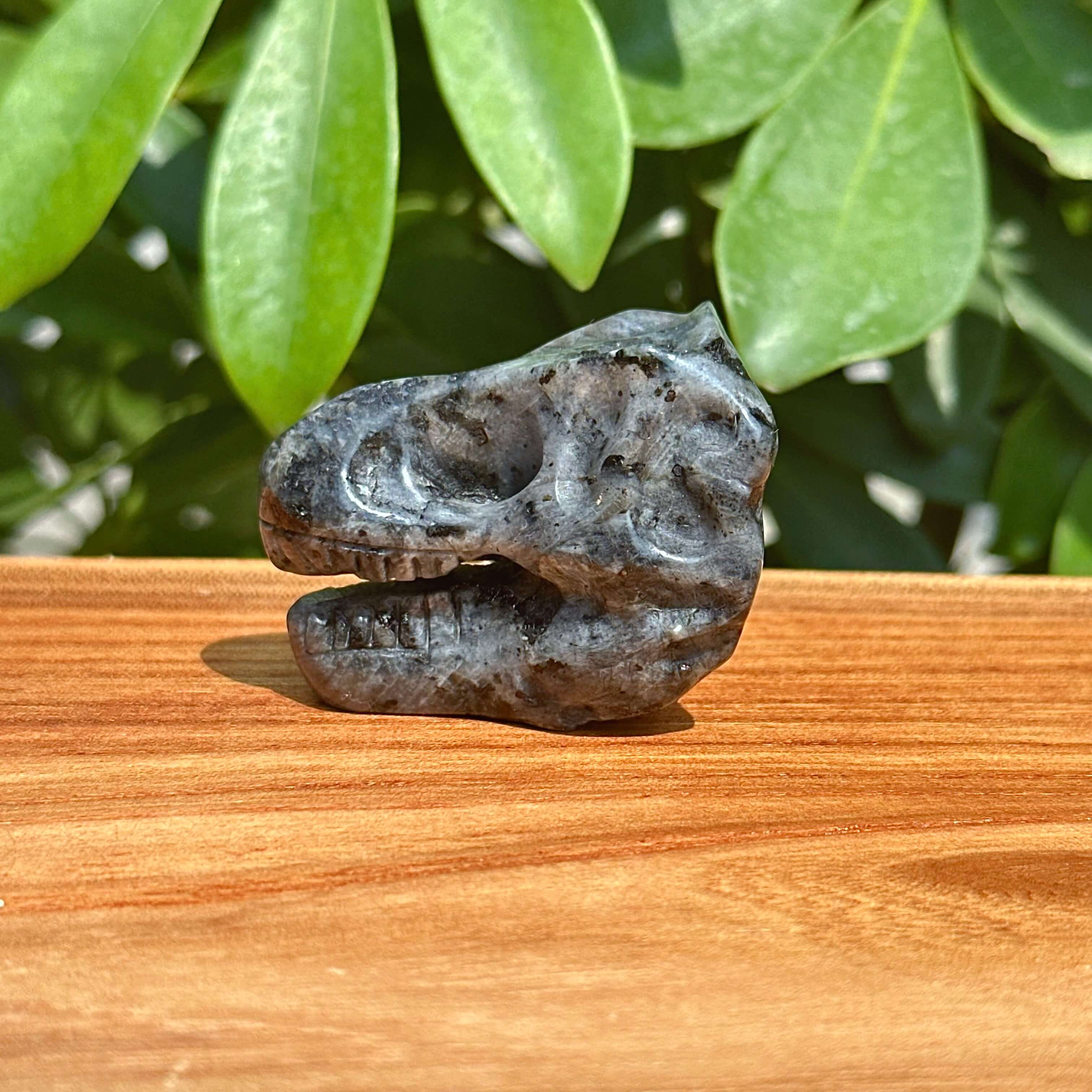 Yooperlite Dinosaur Skull Carving