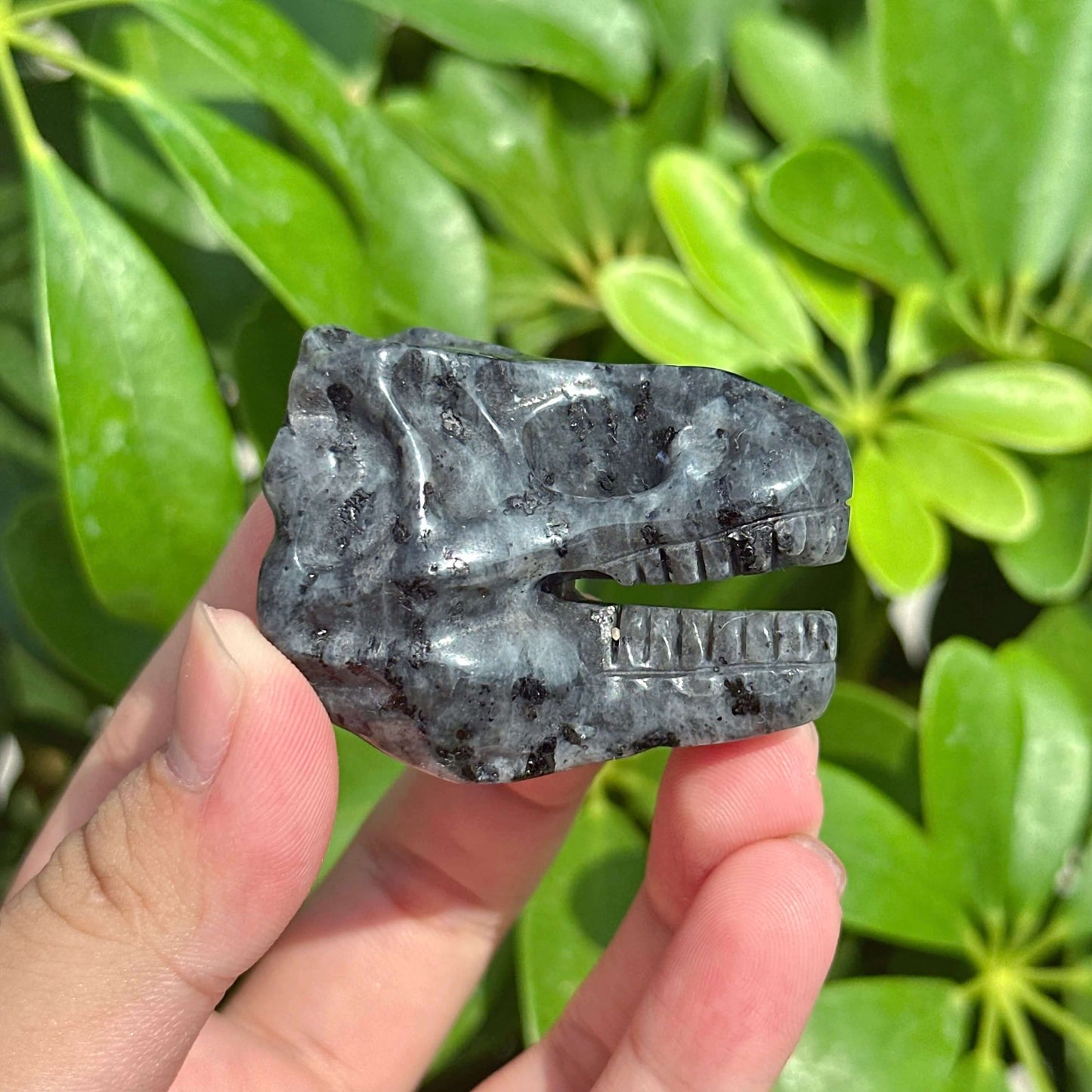 Yooperlite Dinosaur Skull Carving