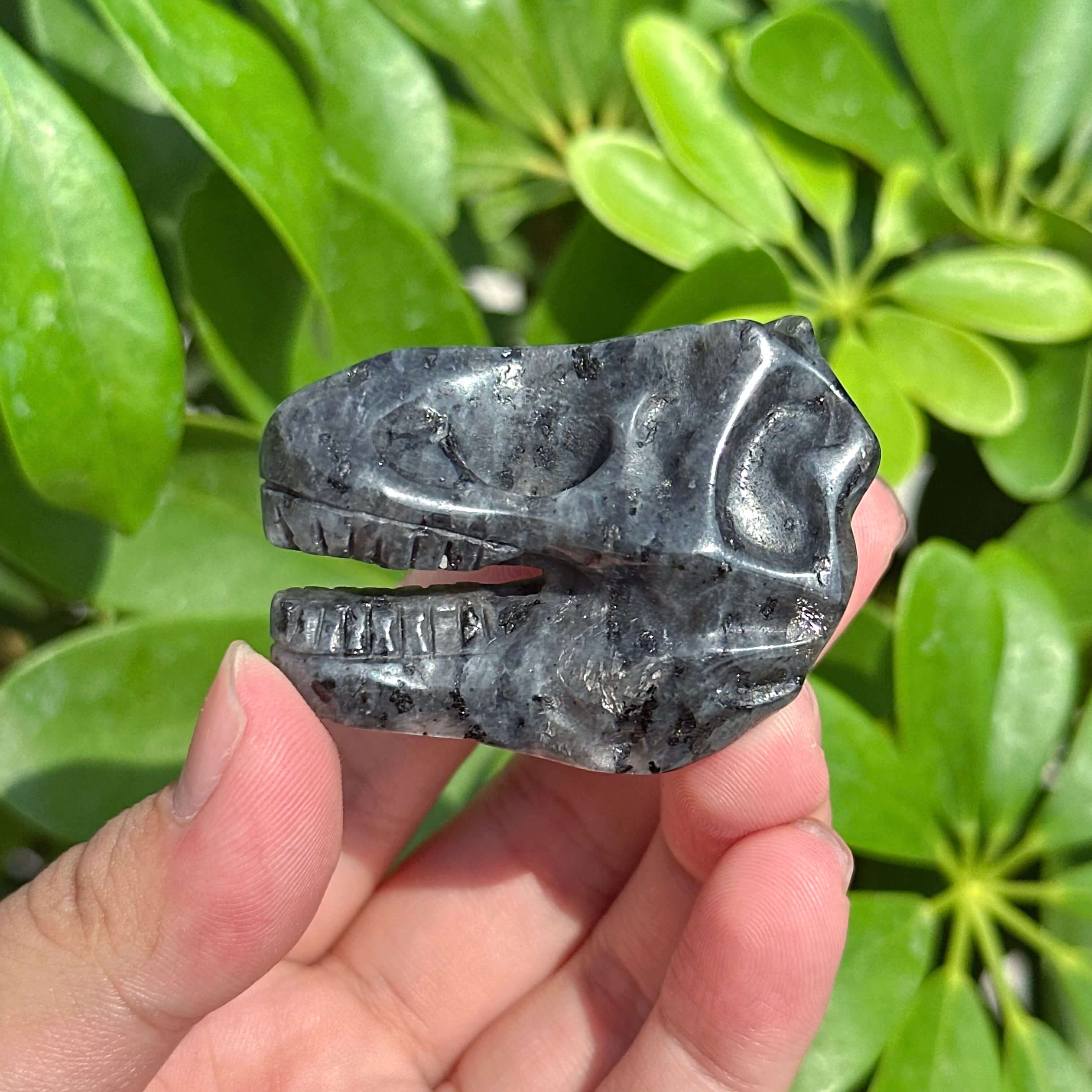 Yooperlite Dinosaur Skull Carving