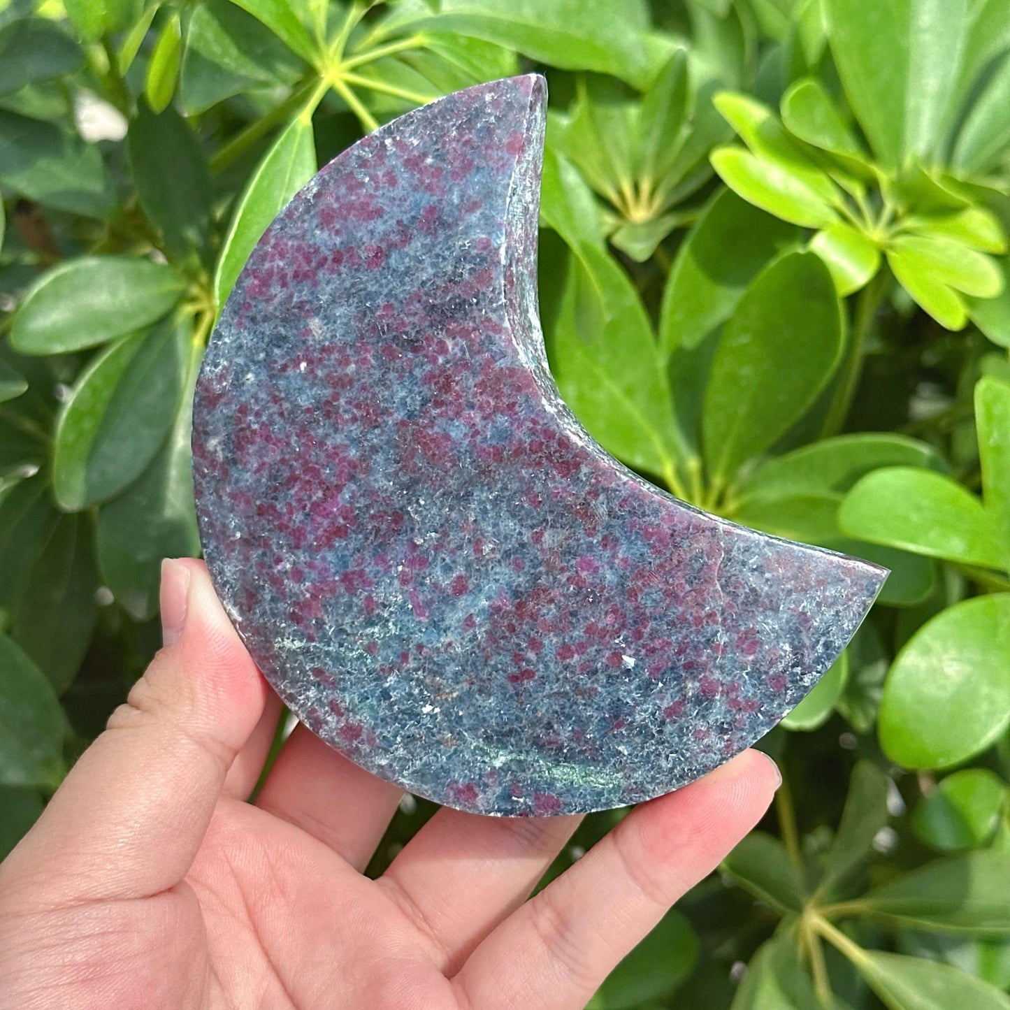Ruby in Kyanite Moon Carving